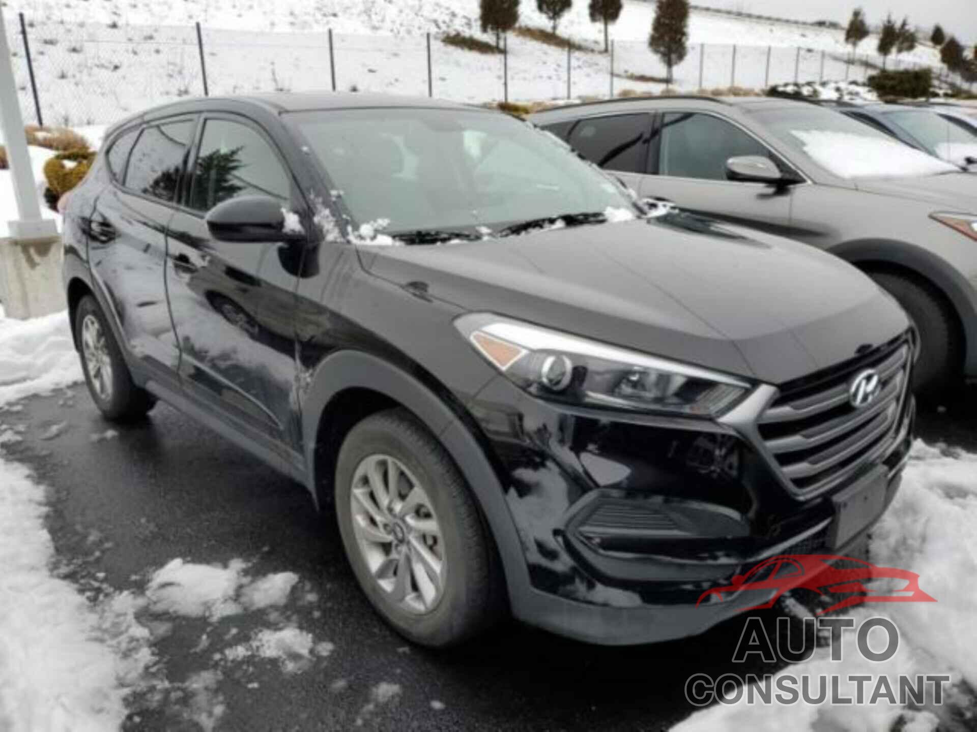 HYUNDAI TUCSON 2018 - KM8J2CA43JU657267