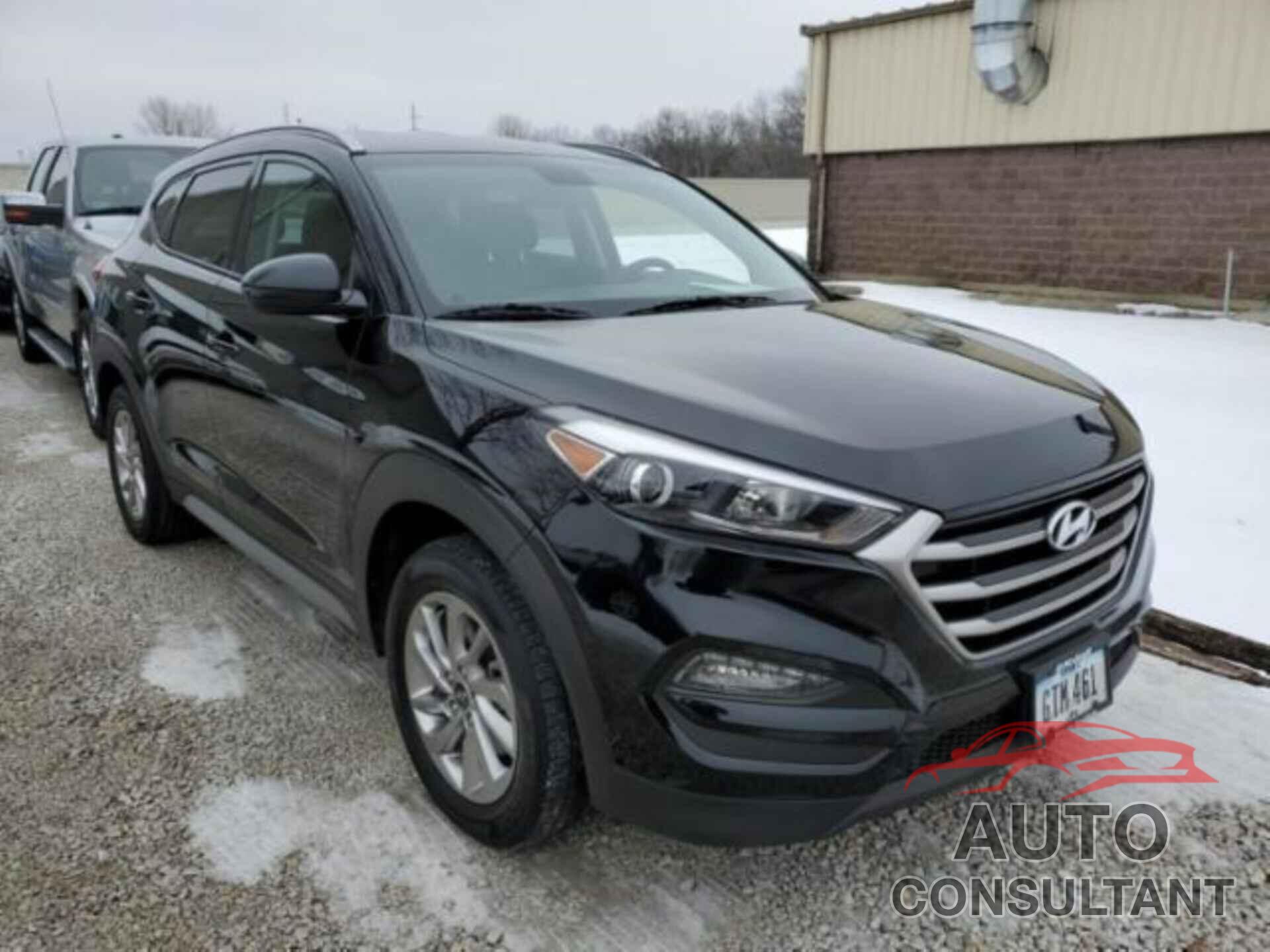 HYUNDAI TUCSON 2017 - KM8J3CA41HU436676