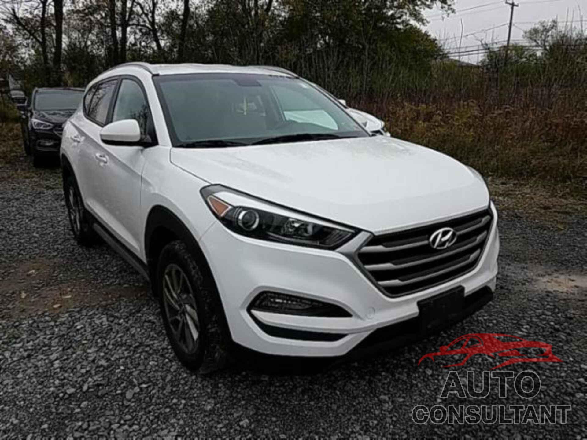HYUNDAI TUCSON 2017 - KM8J3CA46HU516149