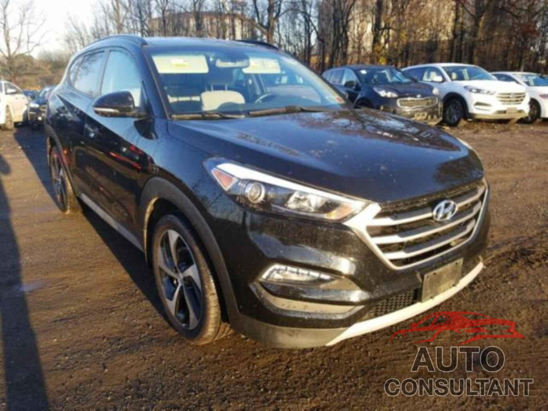 HYUNDAI TUCSON 2017 - KM8J3CA20HU567760