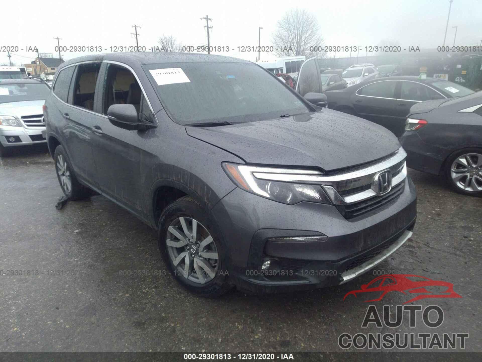 HONDA PILOT 2019 - 5FNYF6H52KB044493
