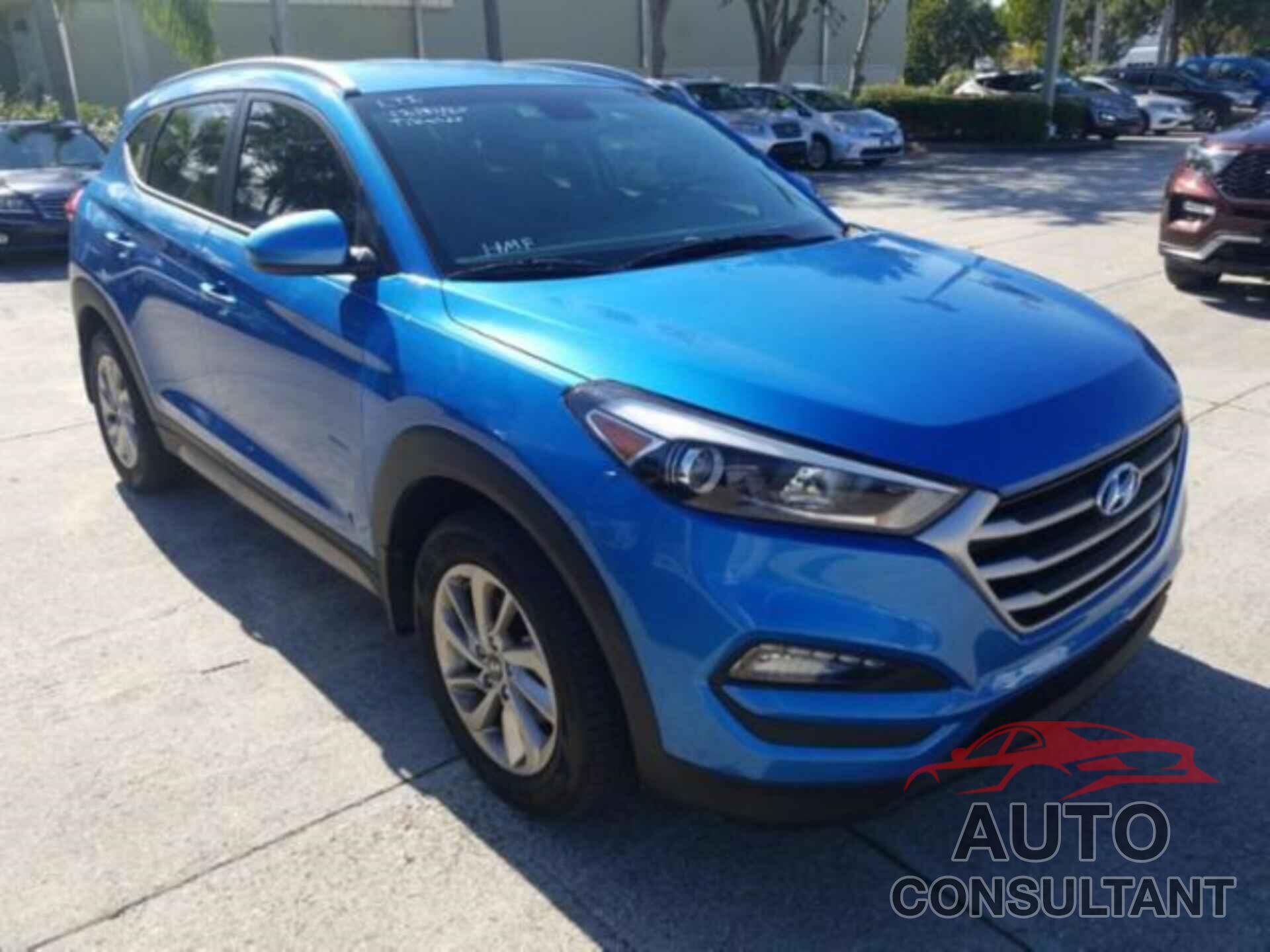 HYUNDAI TUCSON 2017 - KM8J33A41HU336612