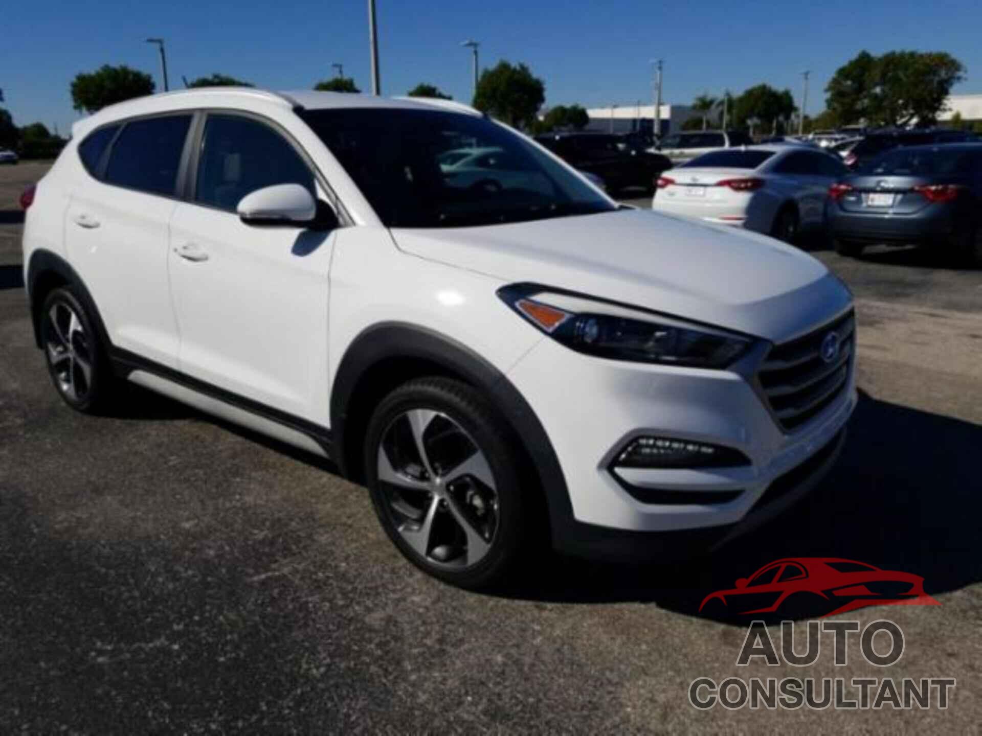 HYUNDAI TUCSON 2017 - KM8J33A26HU550364
