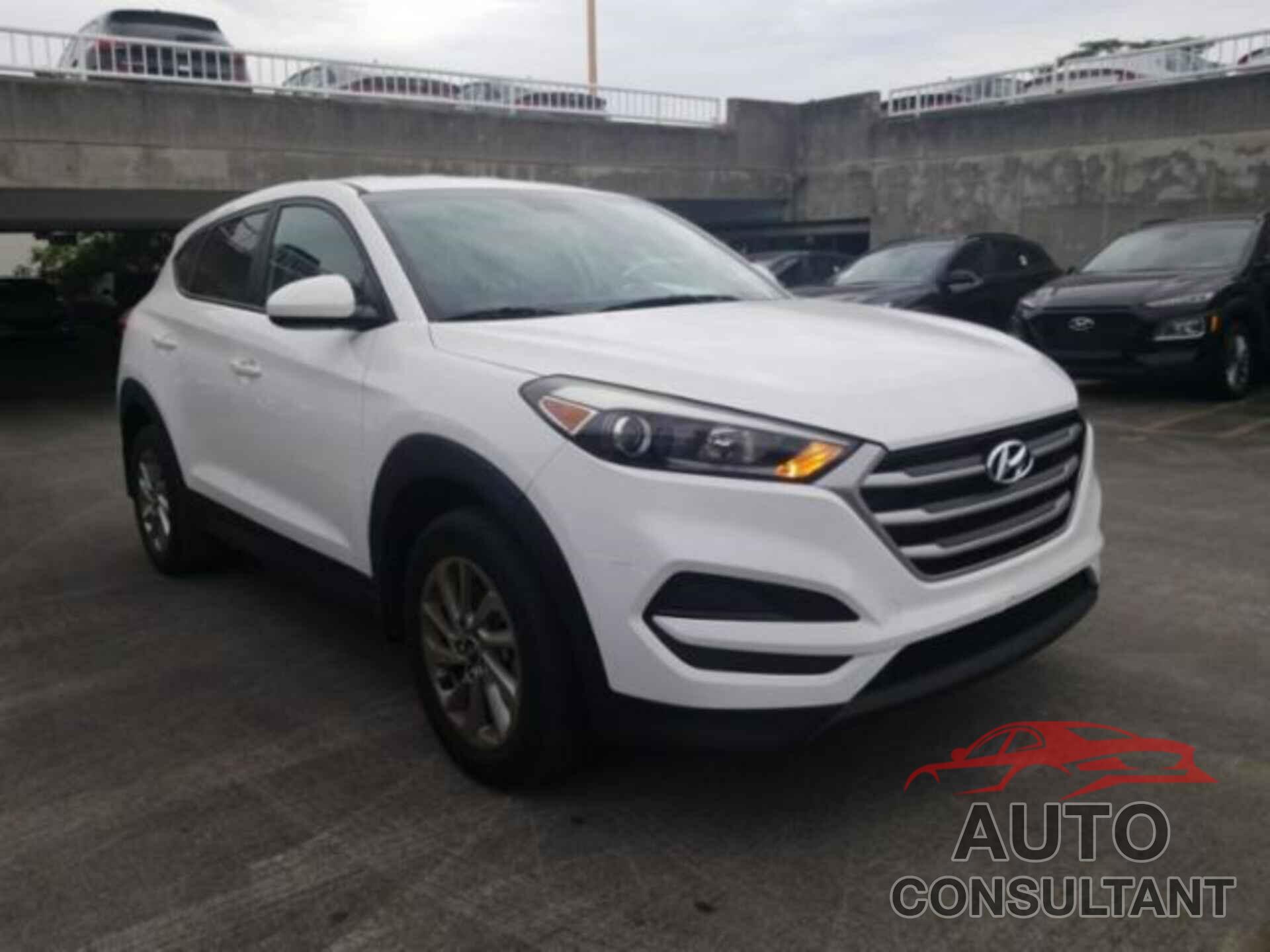 HYUNDAI TUCSON 2017 - KM8J23A40HU351539