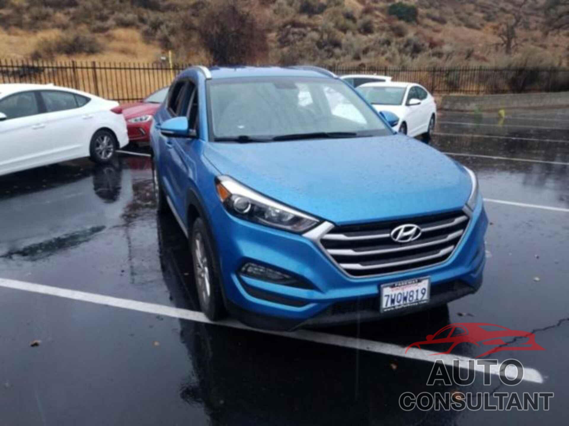 HYUNDAI TUCSON 2017 - KM8J33A42HU409325
