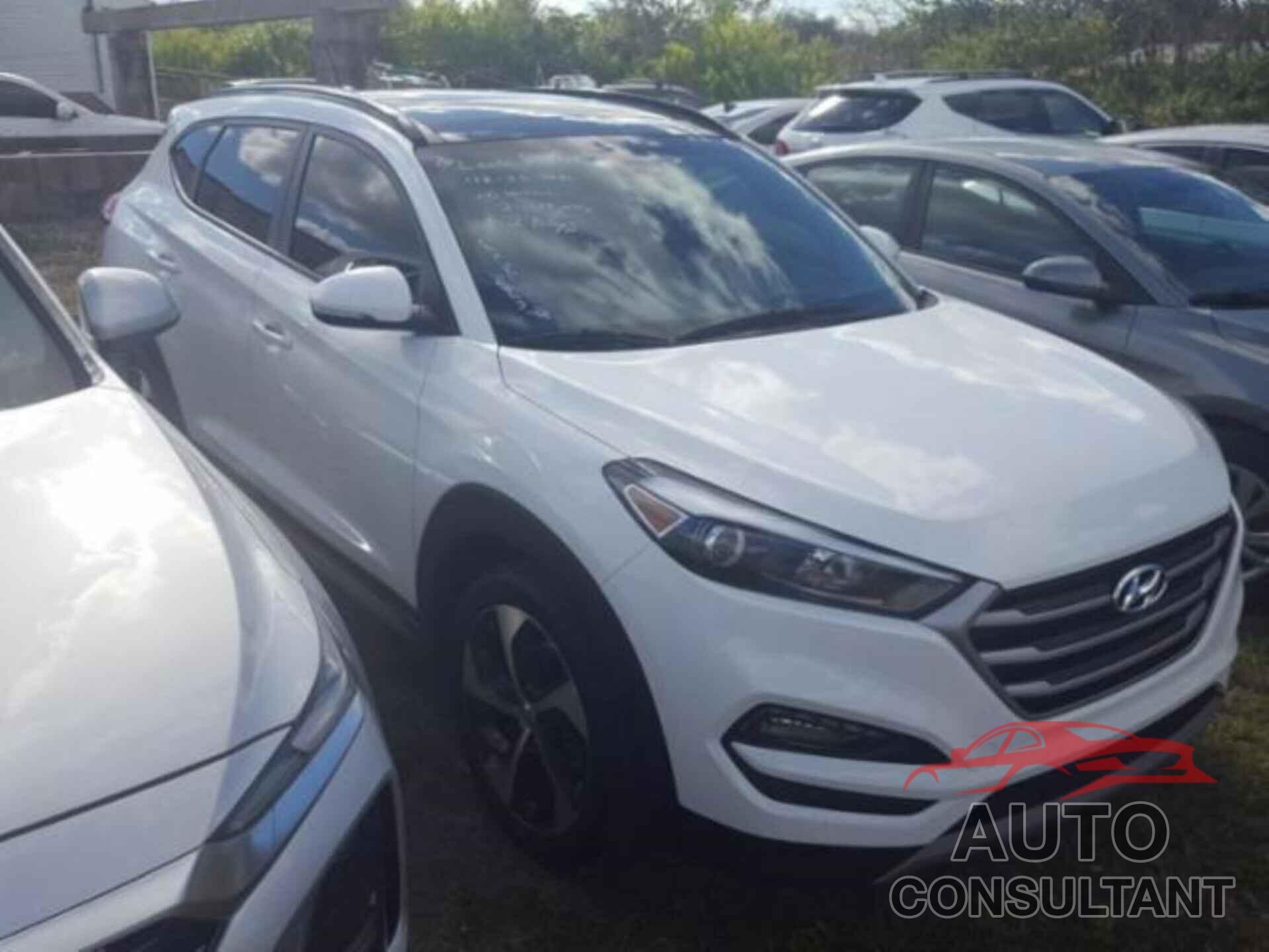HYUNDAI TUCSON 2017 - KM8J33A28HU560040