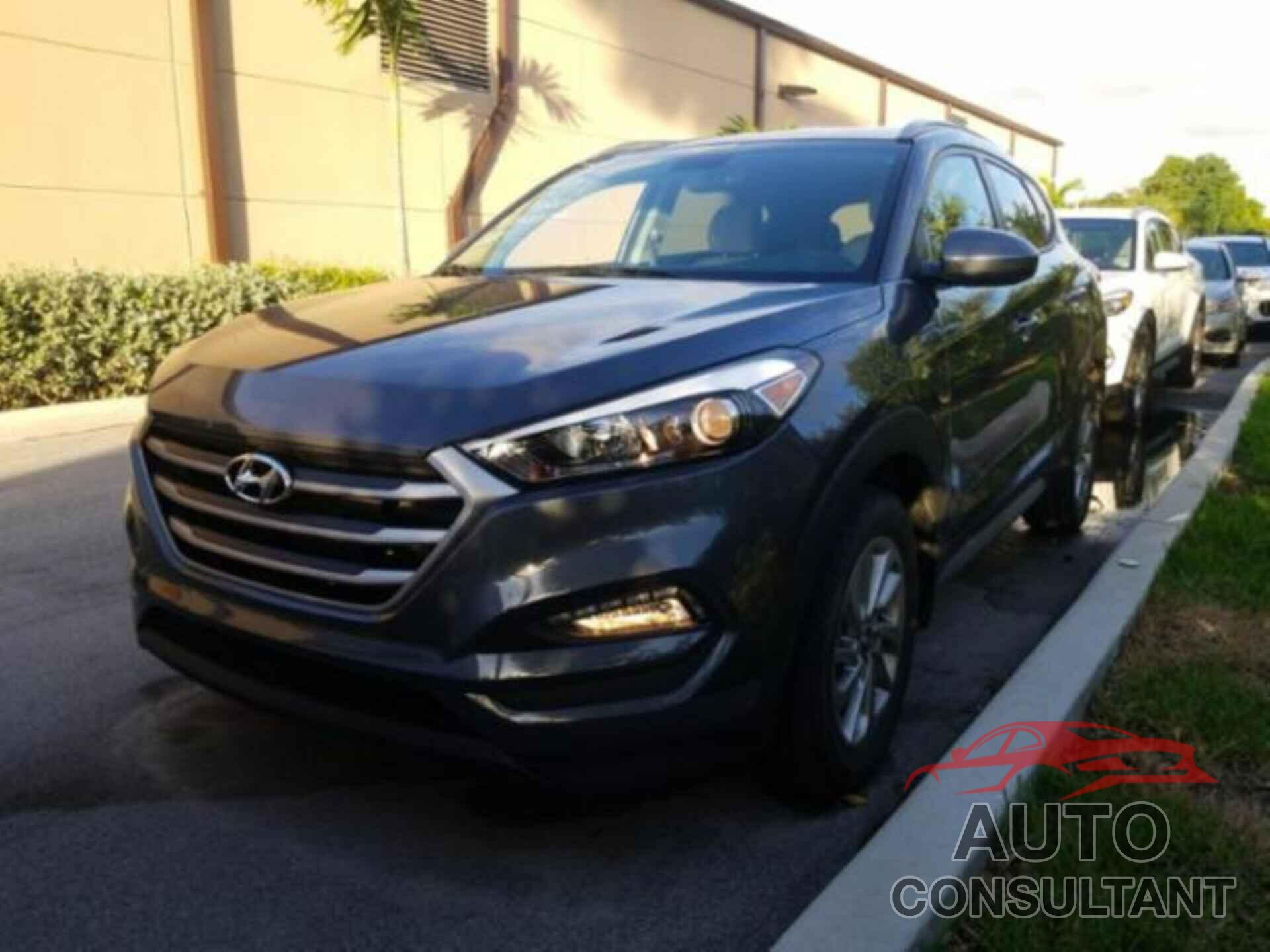 HYUNDAI TUCSON 2017 - KM8J33A43HU568399