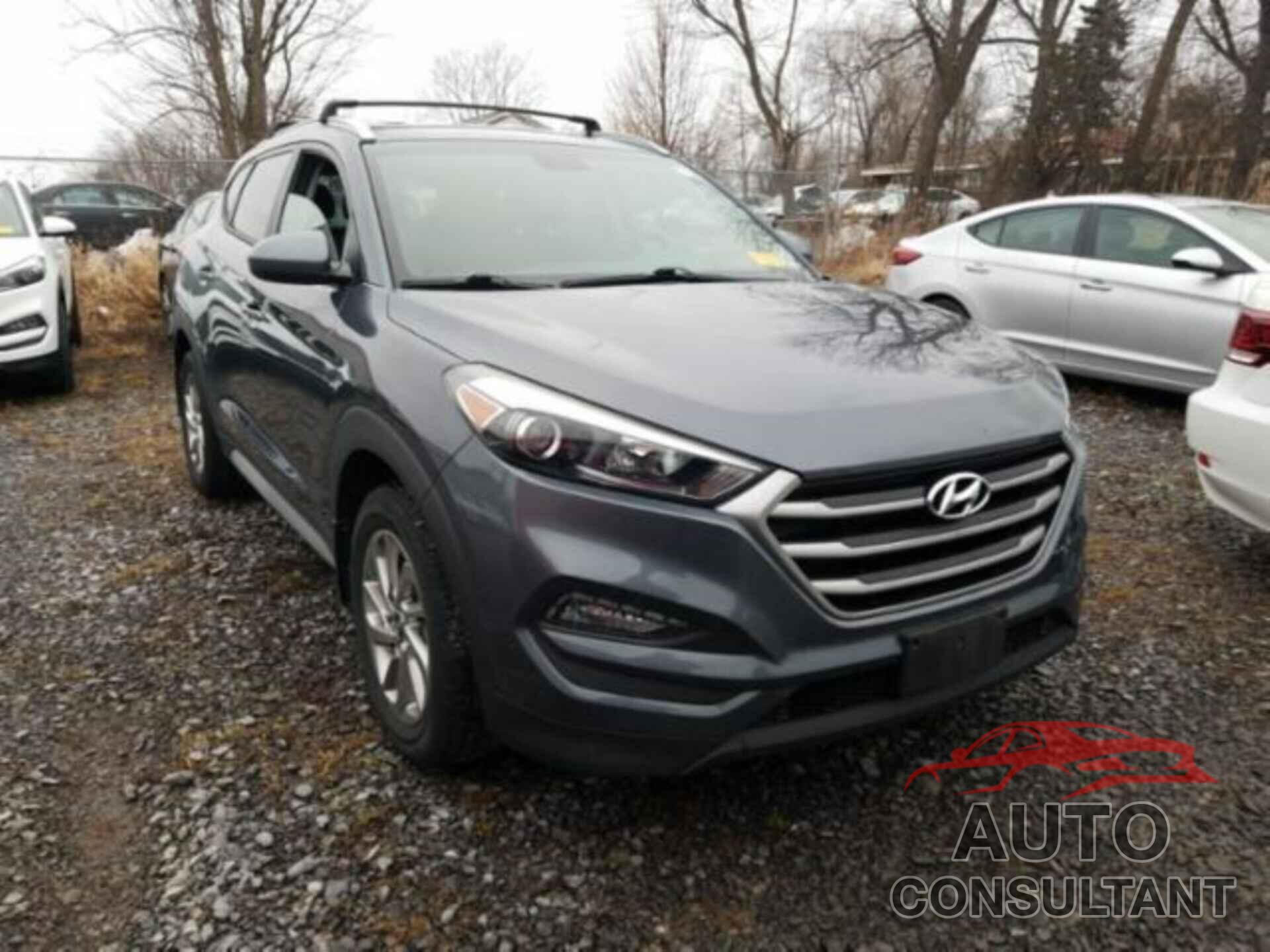 HYUNDAI TUCSON 2017 - KM8J3CA46HU594432