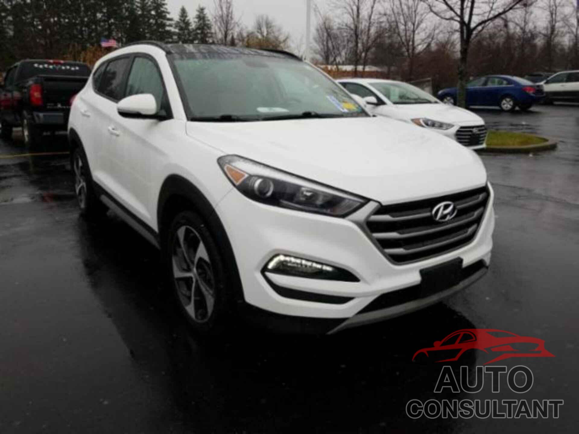 HYUNDAI TUCSON 2017 - KM8J3CA26HU570128
