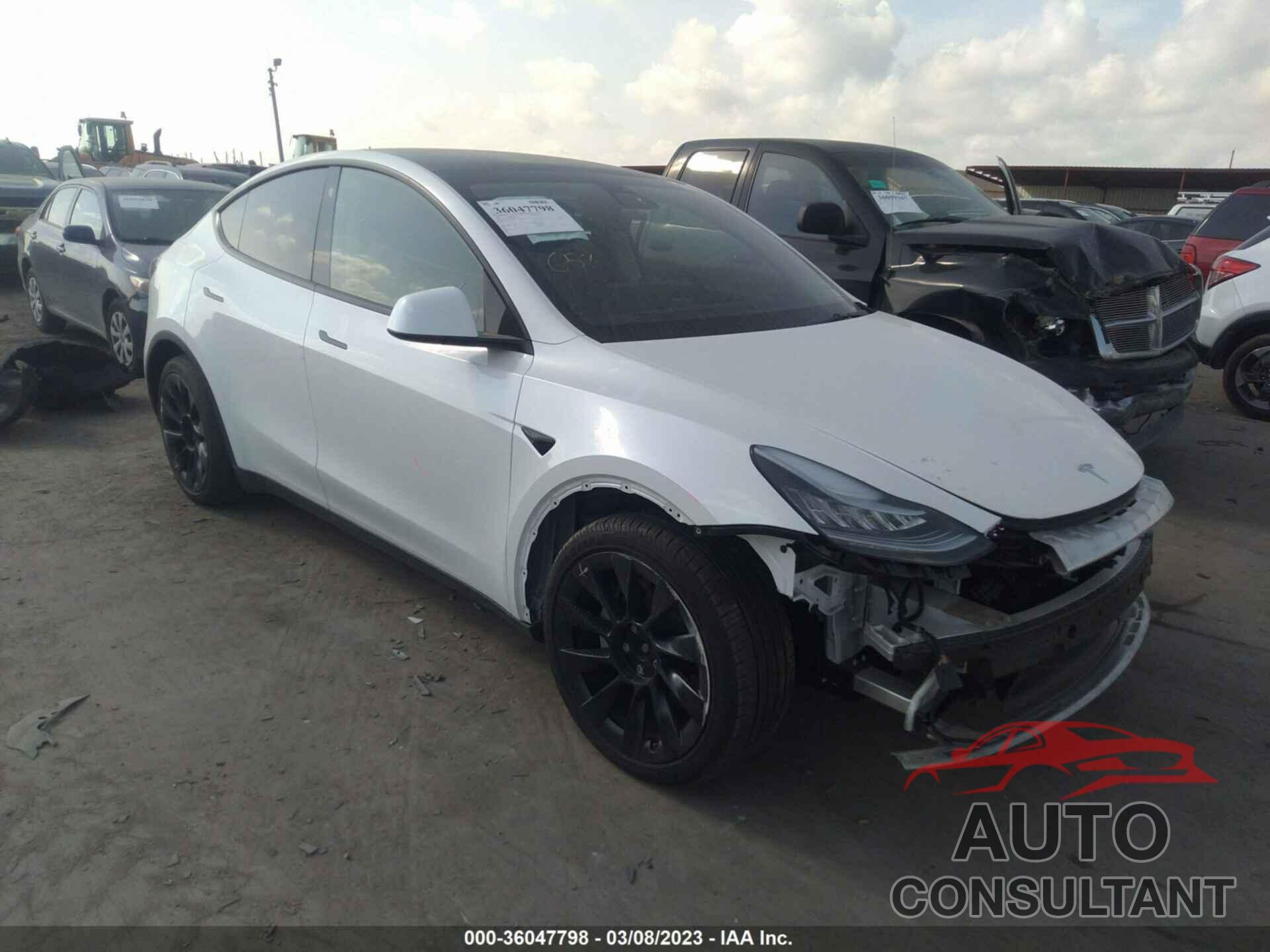 TESLA MODEL Y 2021 - 5YJYGDEE3MF248678