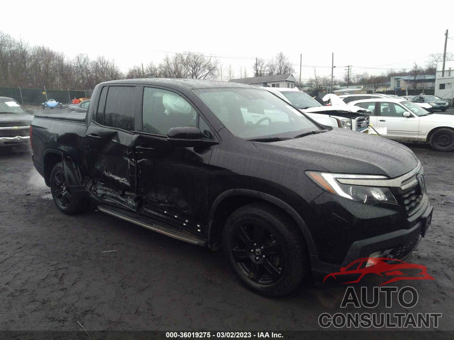 HONDA RIDGELINE 2019 - 5FPYK3F82KB031127