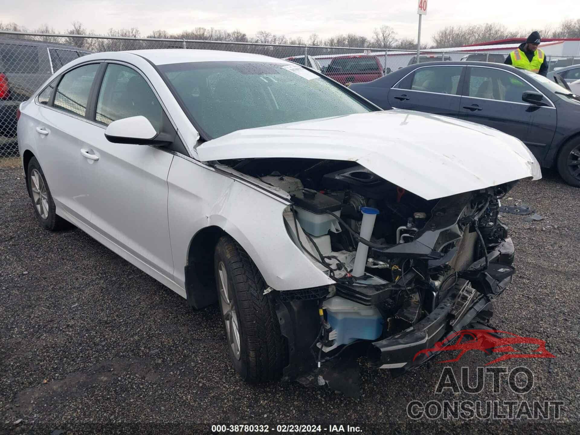 HYUNDAI SONATA 2019 - 5NPE24AFXKH809554
