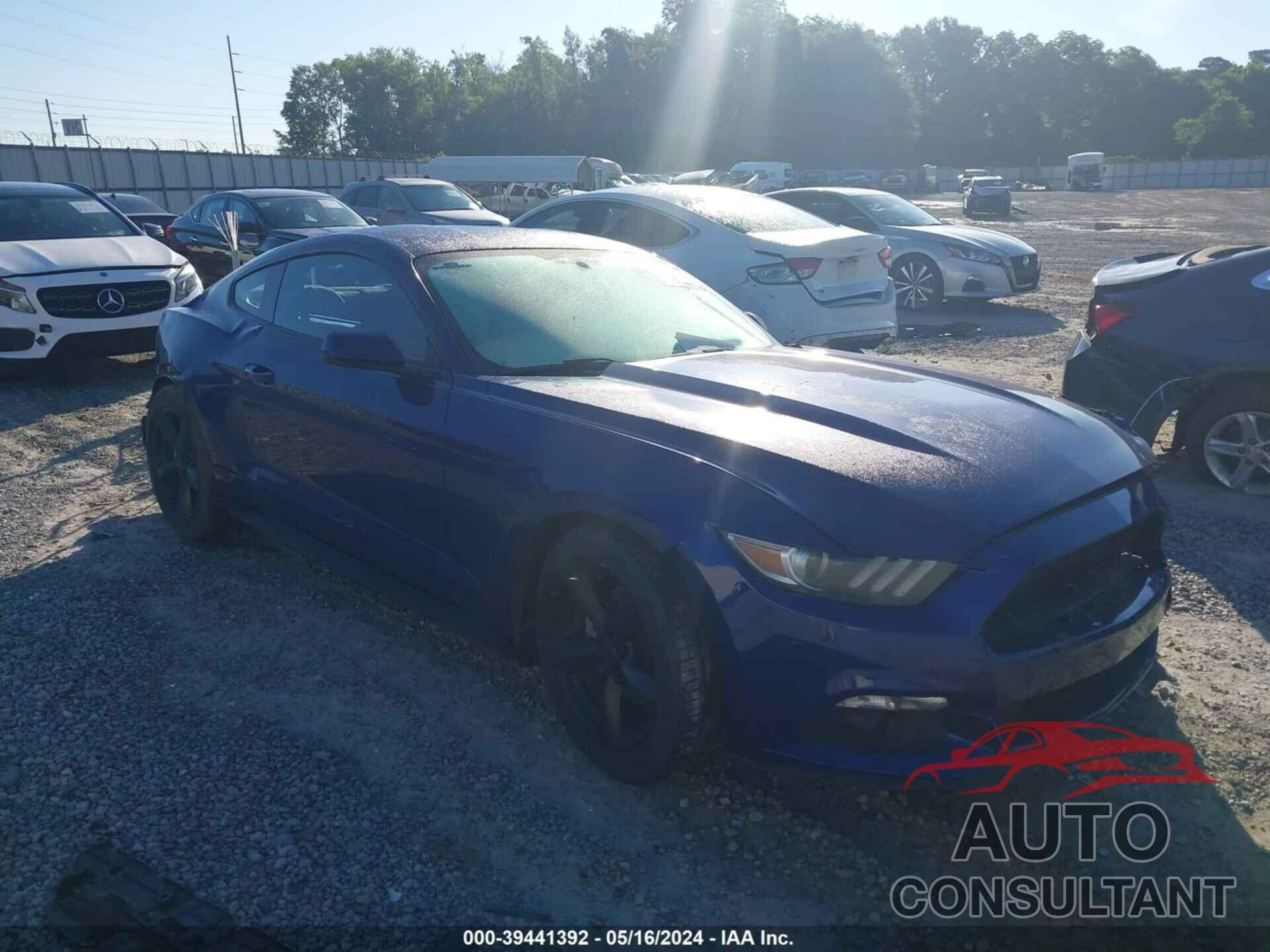 FORD MUSTANG 2016 - 1FA6P8AM6G5228559