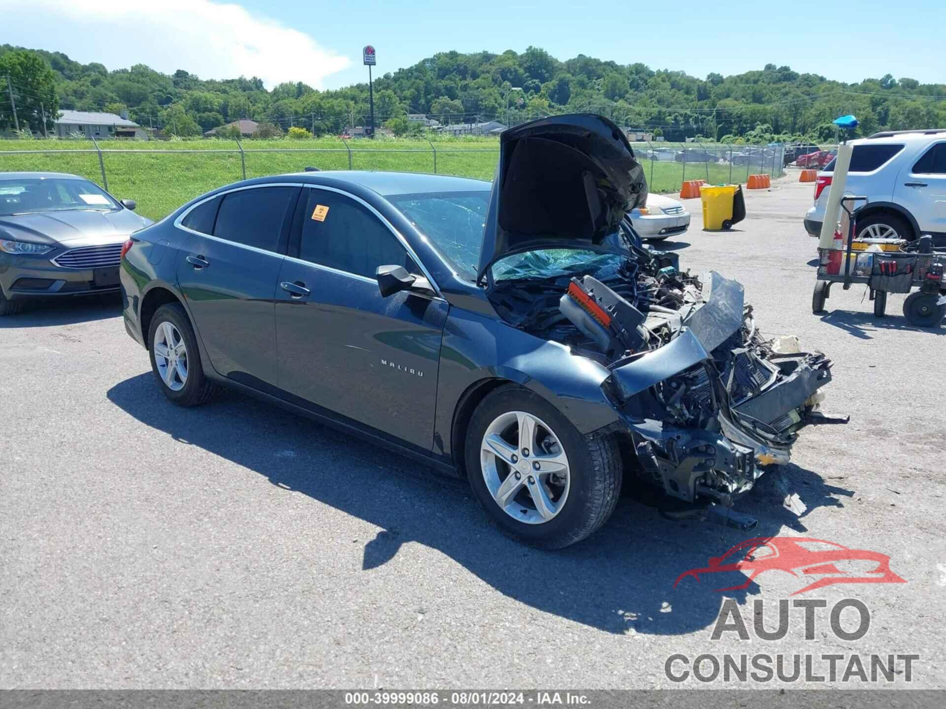 CHEVROLET MALIBU 2019 - 1G1ZB5ST0KF226134