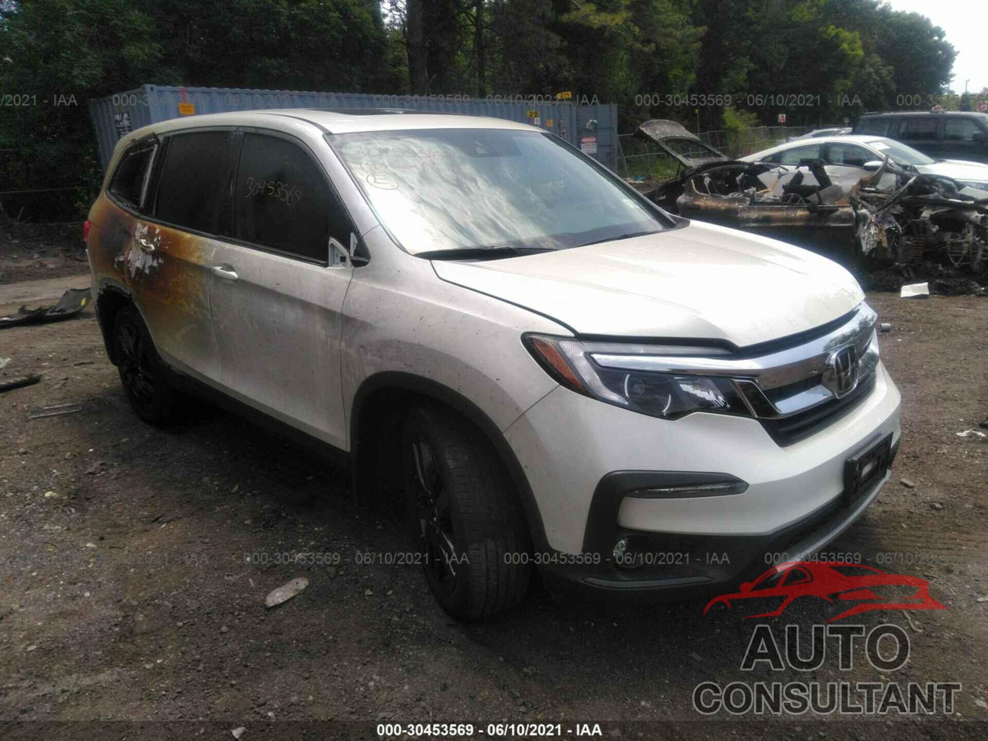 HONDA PILOT 2019 - 5FNYF6H55KB021502