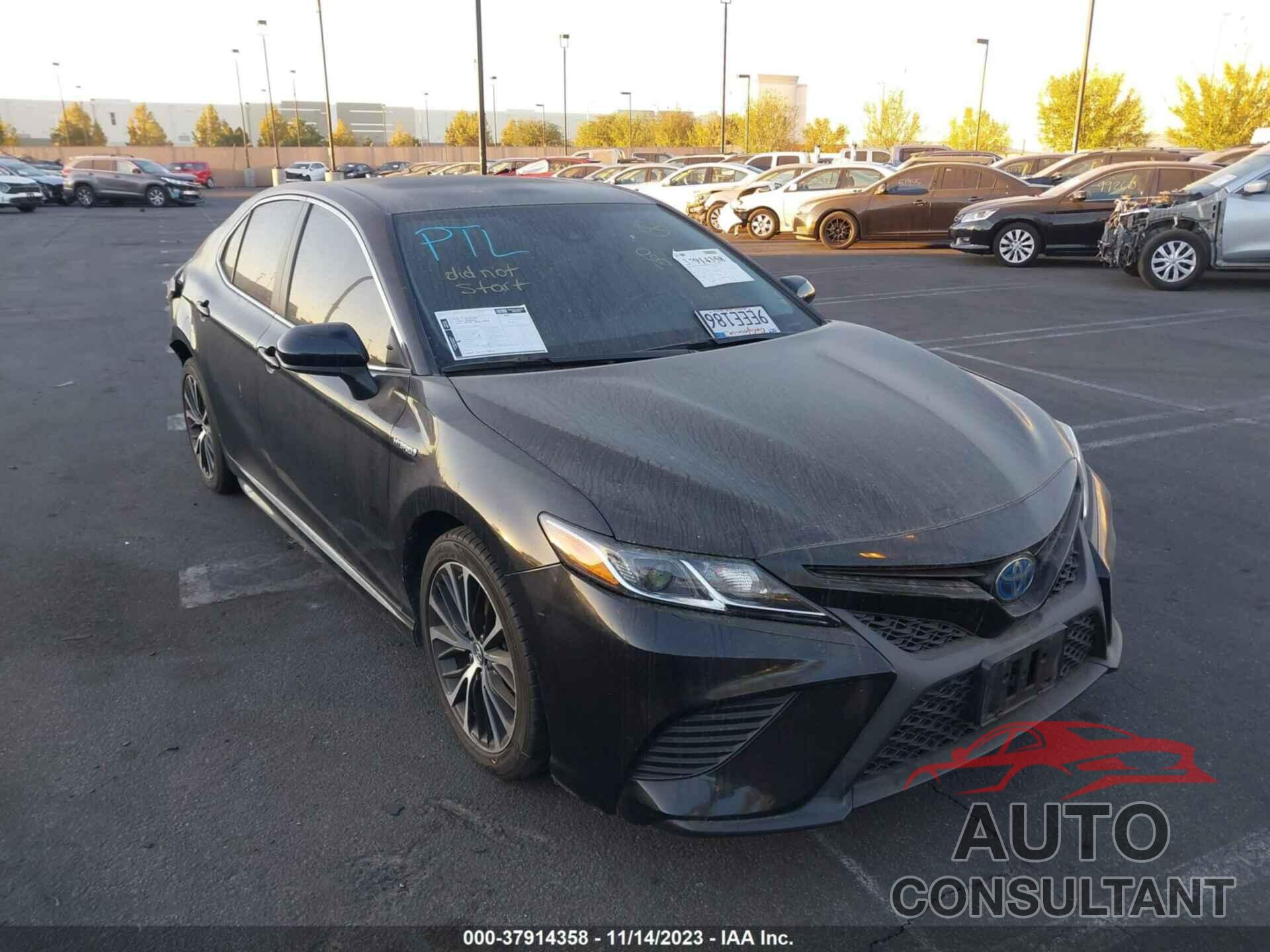 TOYOTA CAMRY 2019 - 4T1B21HK0KU512024