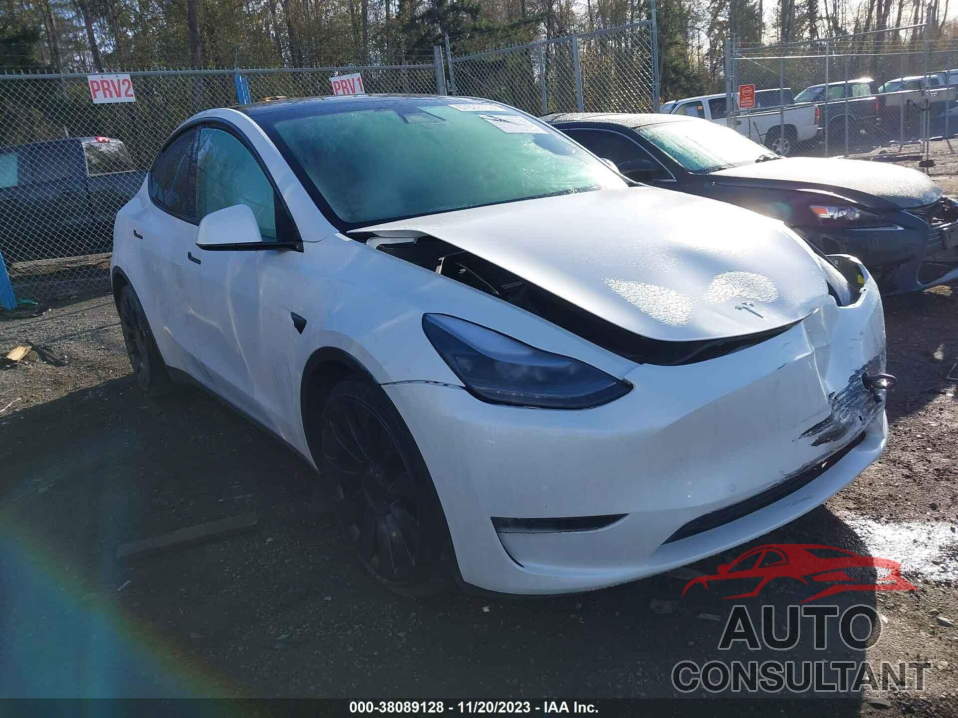 TESLA MODEL Y 2022 - 7SAYGDEF8NF409121