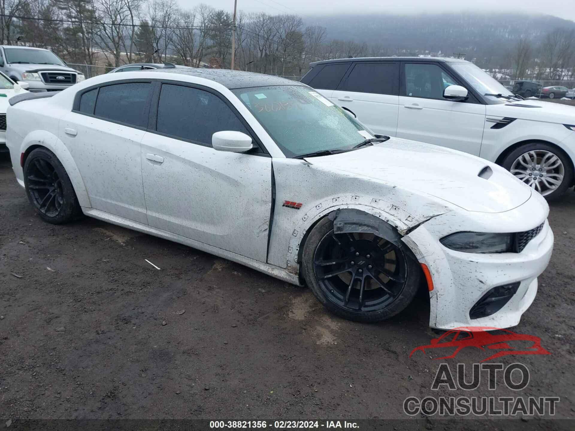 DODGE CHARGER 2021 - 2C3CDXGJ7MH501059
