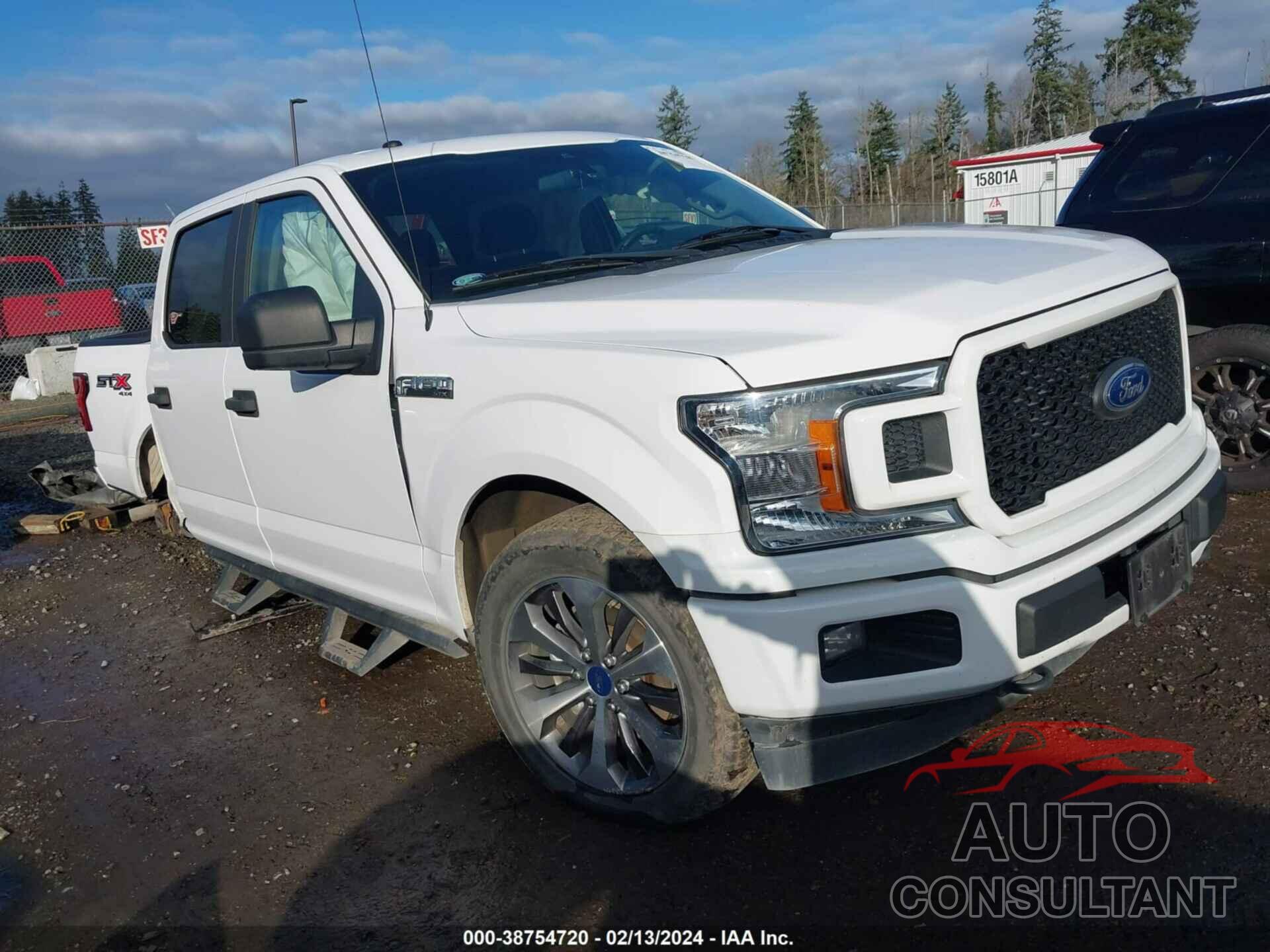FORD F-150 2019 - 1FTEW1EP6KKE16075
