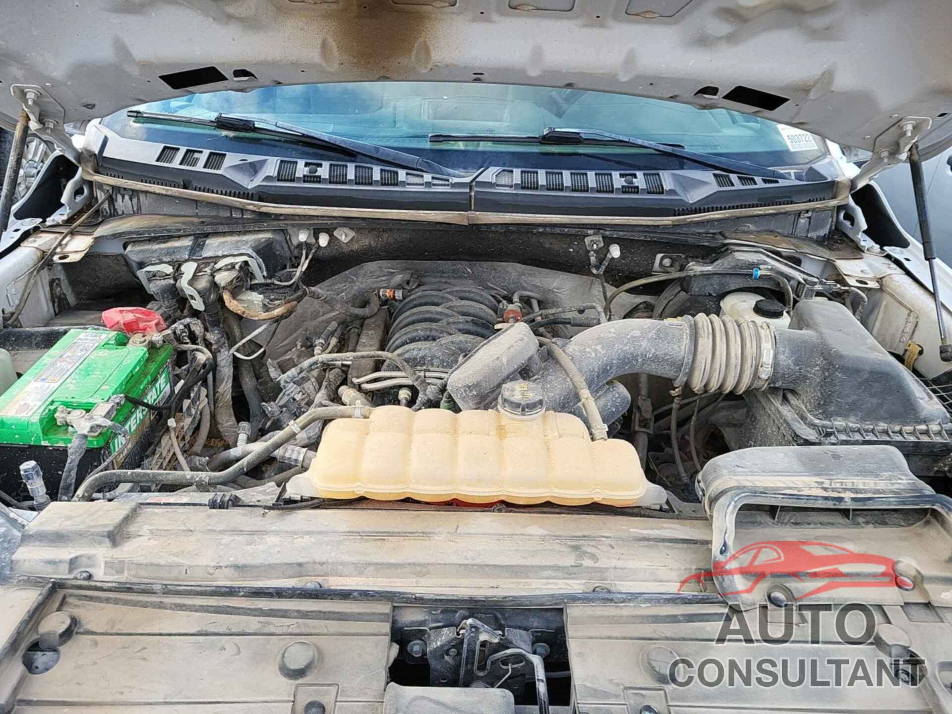 FORD F-150 2019 - 1FTFW1E53KFA21363
