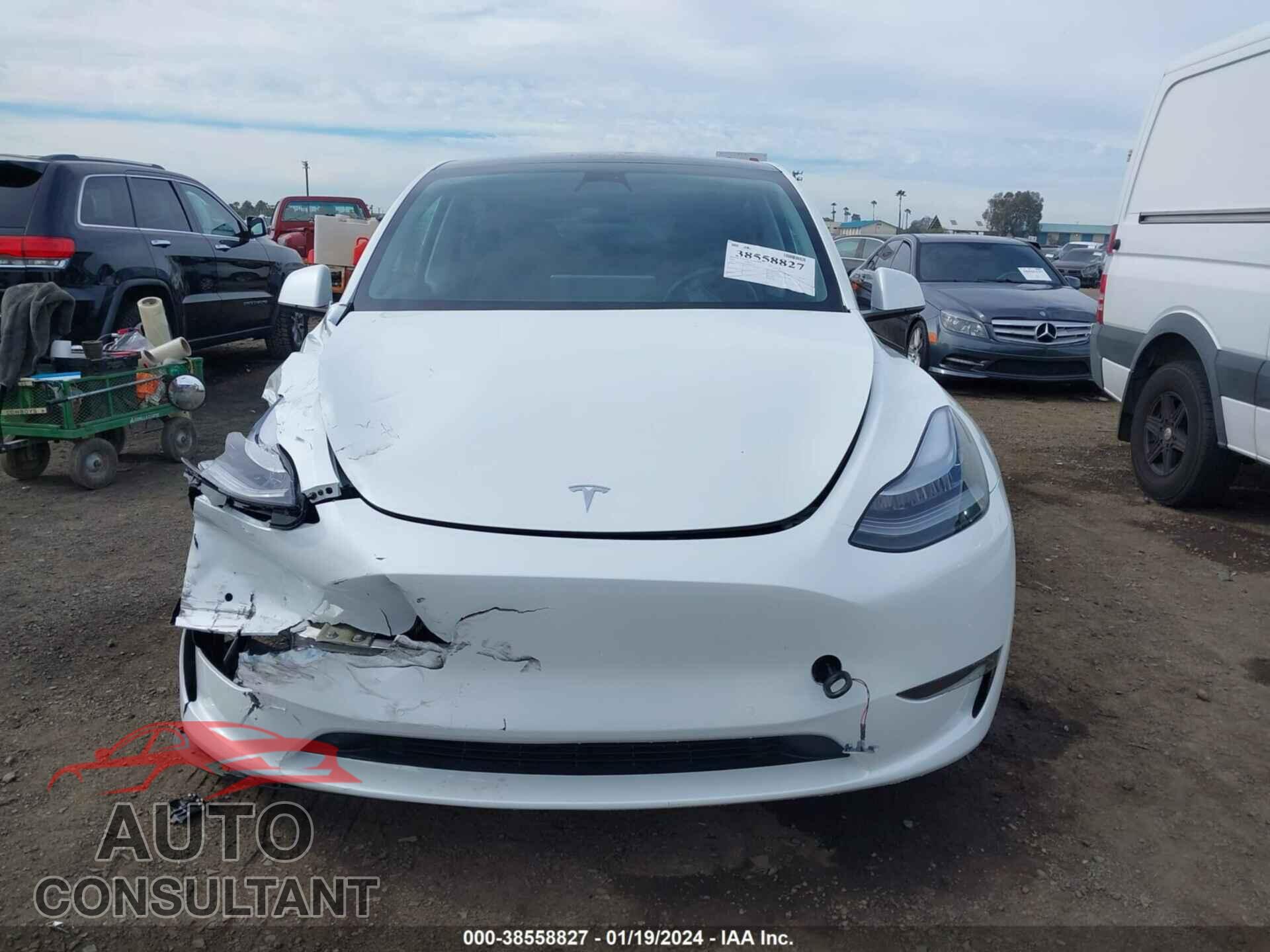 TESLA MODEL Y 2022 - 7SAYGAEE5NF569348
