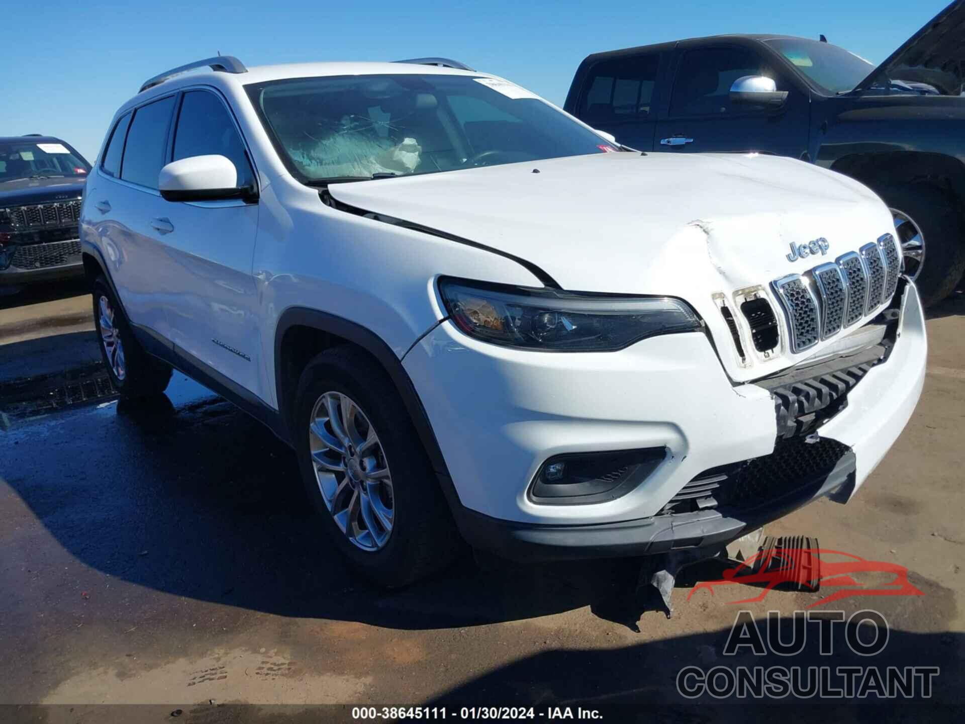 JEEP CHEROKEE 2019 - 1C4PJLLB1KD129256