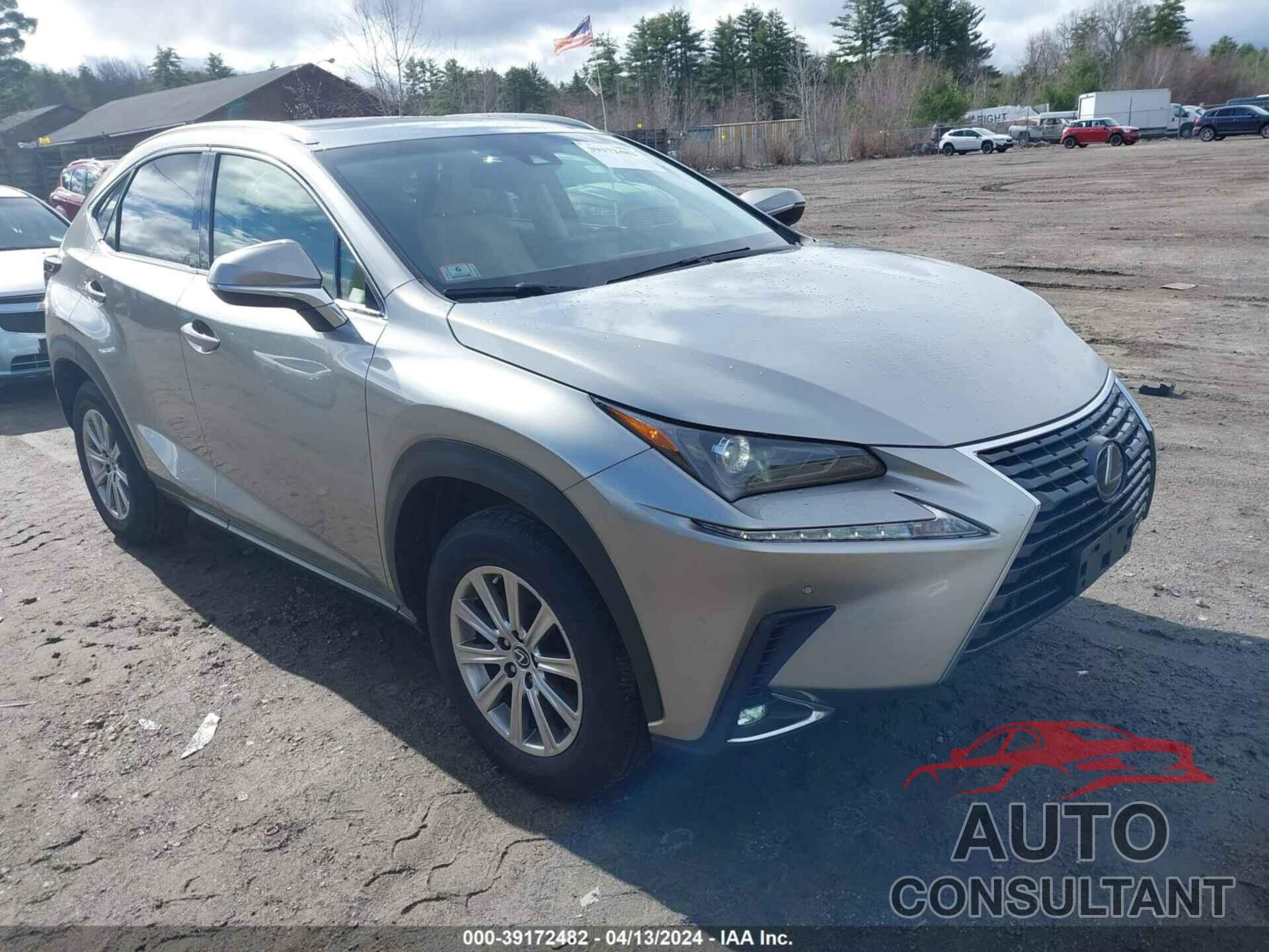 LEXUS NX 300 2019 - JTJBARBZ4K2187026