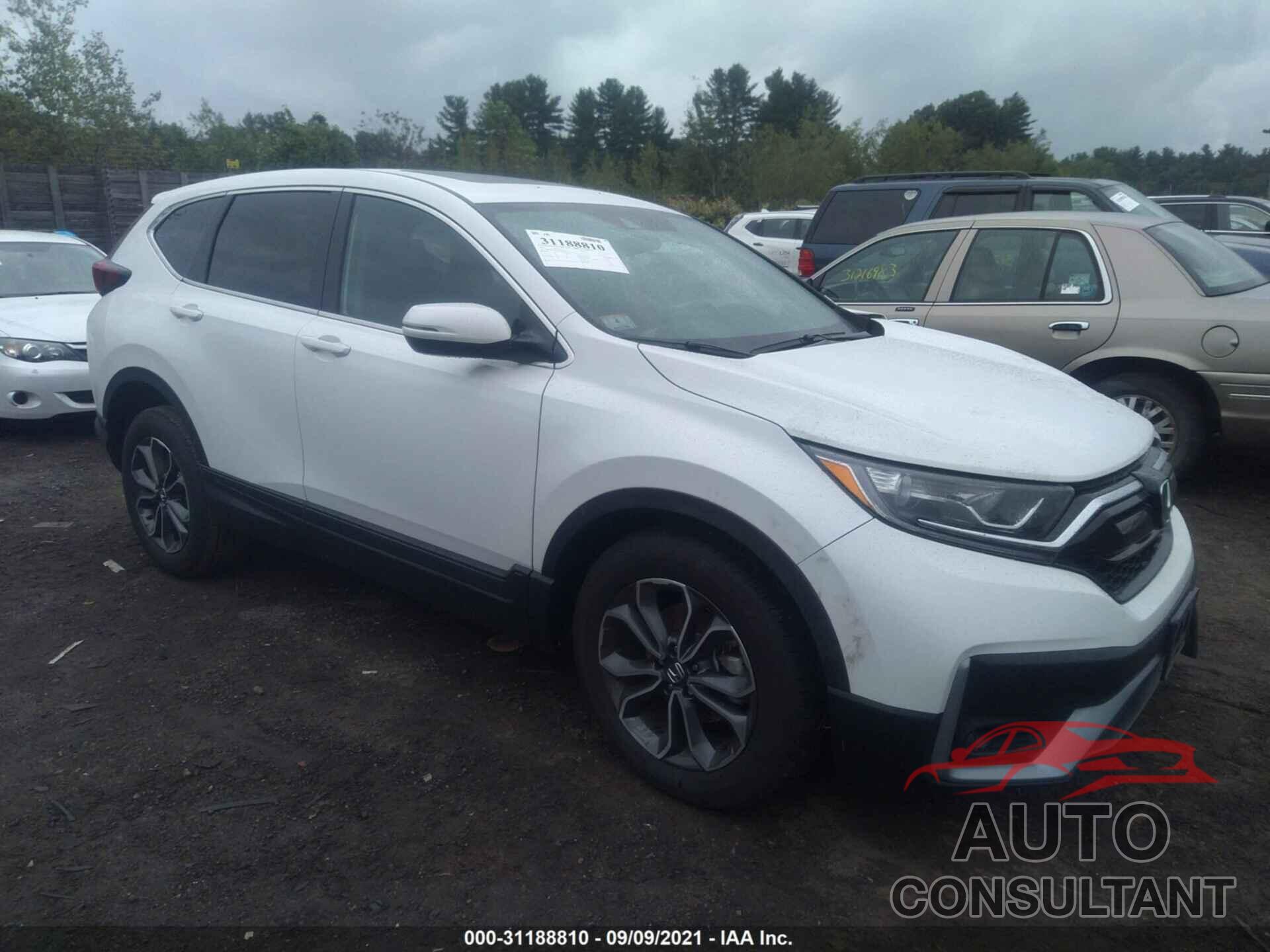 HONDA CR-V 2021 - 2HKRW2H56MH606655