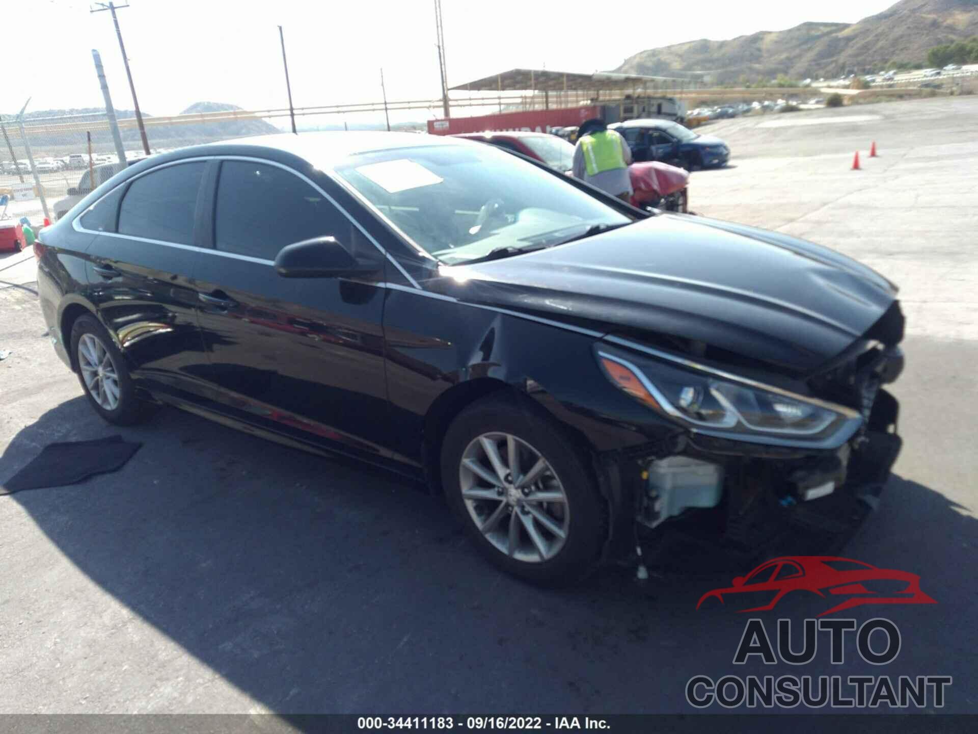 HYUNDAI SONATA 2019 - 5NPE24AF1KH764150