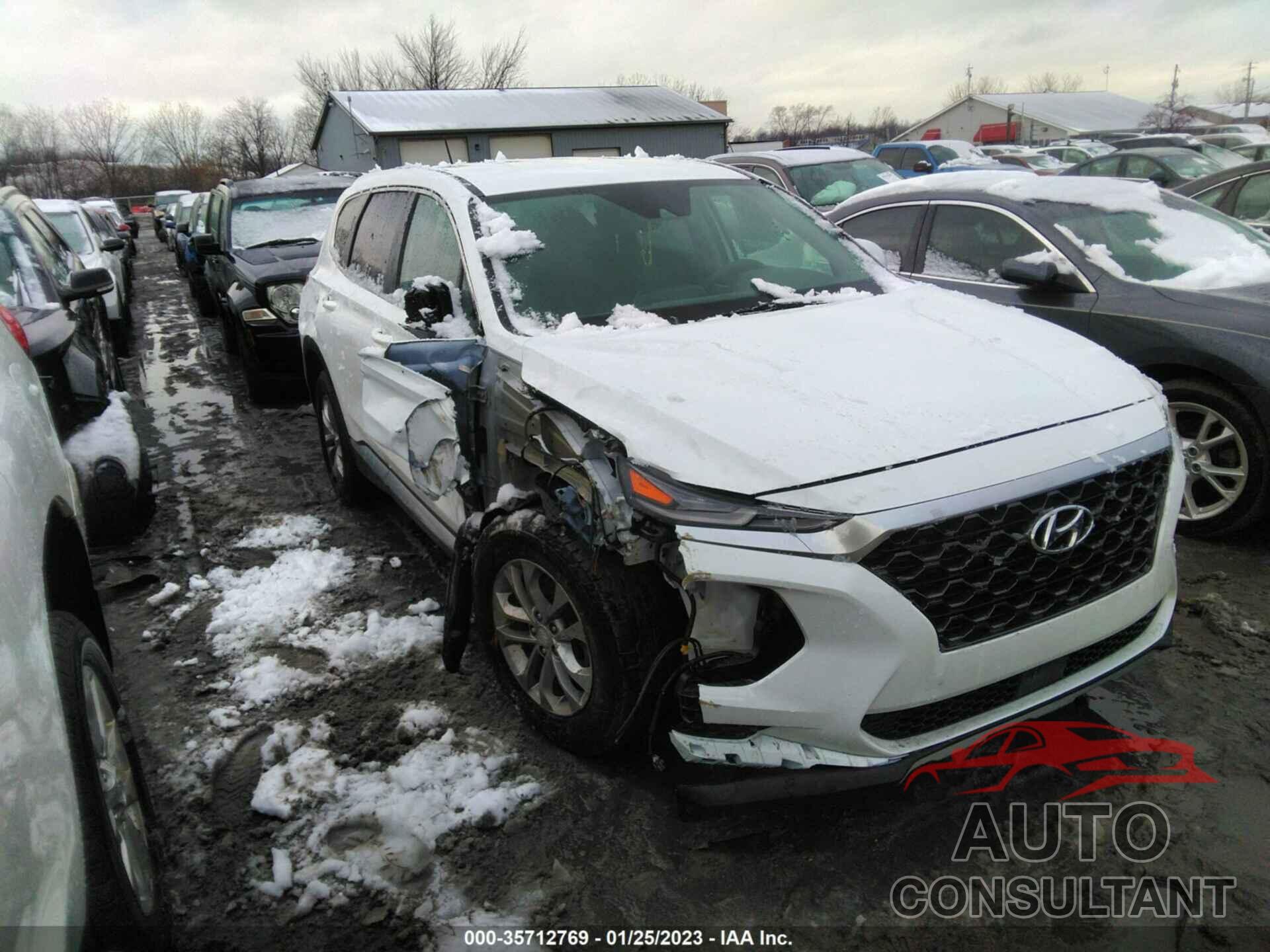 HYUNDAI SANTA FE 2019 - 5NMS2CAD1KH034005