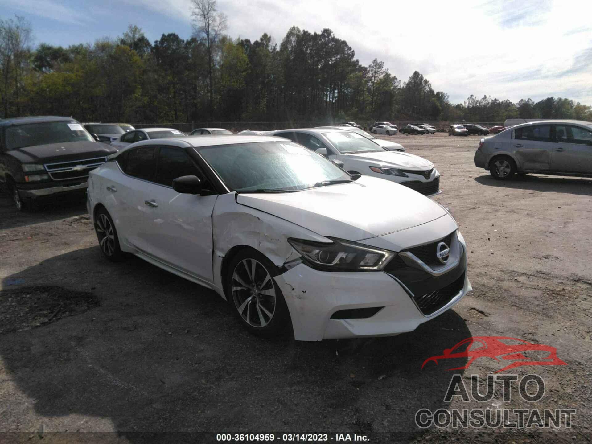 NISSAN MAXIMA 2017 - 1N4AA6AP6HC411435