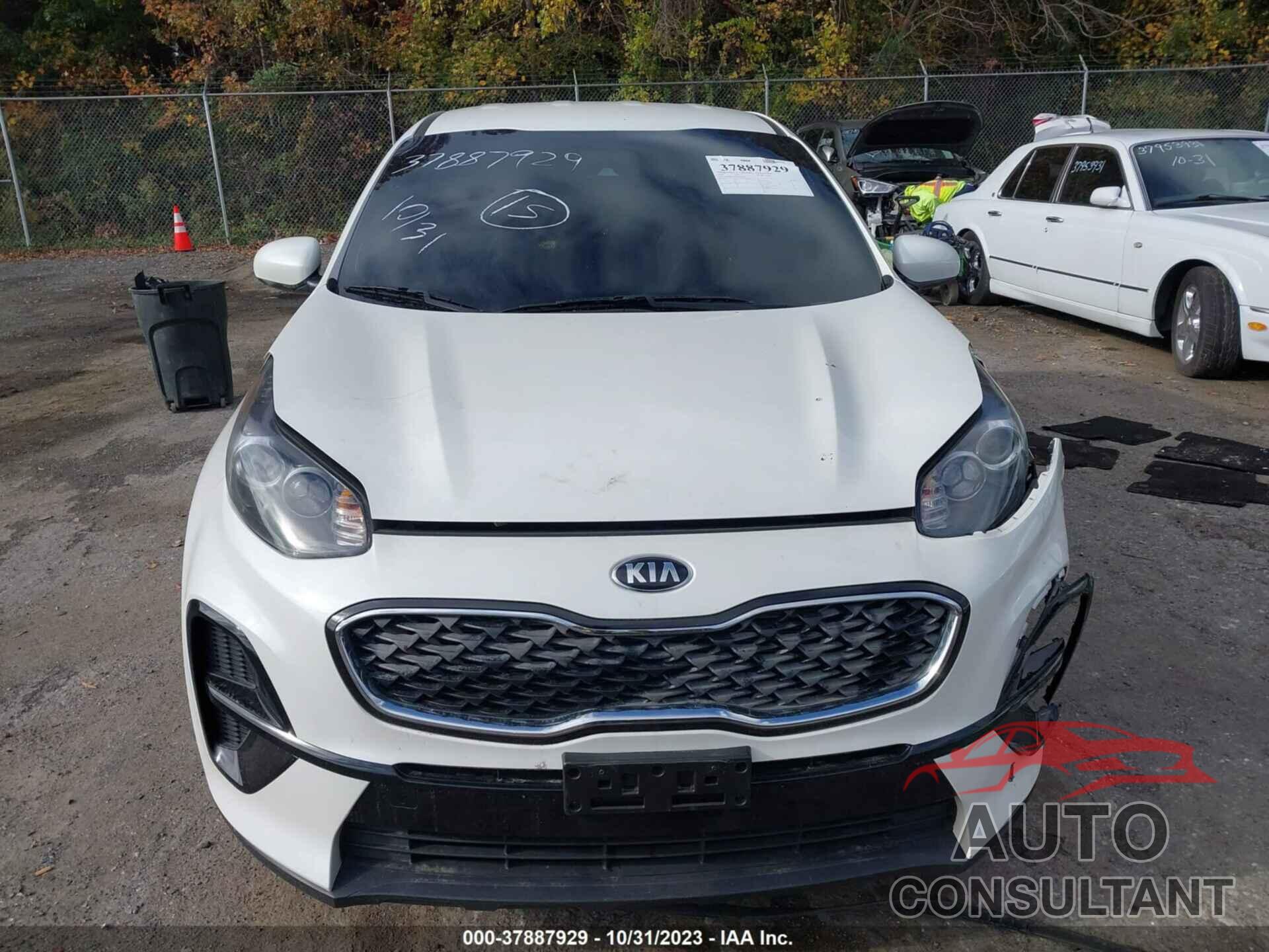 KIA SPORTAGE 2022 - KNDPM3AC6N7951654