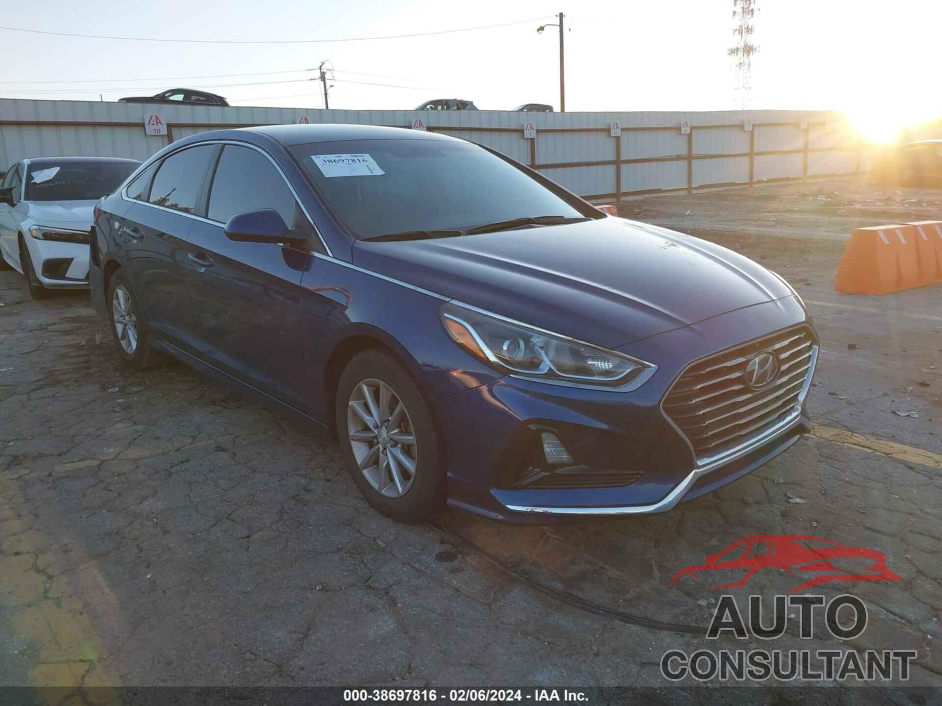 HYUNDAI SONATA 2019 - 5NPE24AF6KH795930