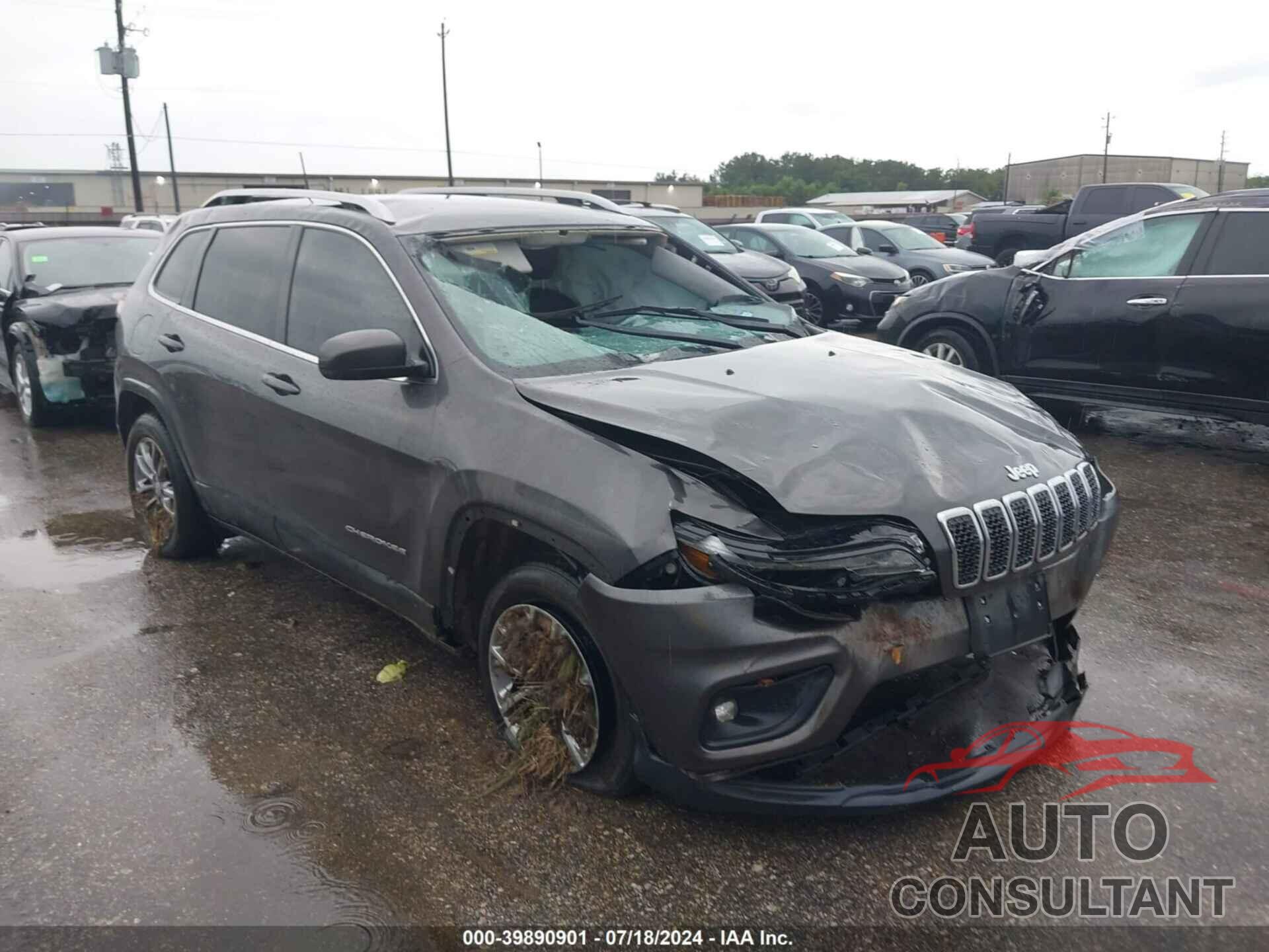 JEEP CHEROKEE 2019 - 1C4PJLLB0KD301194