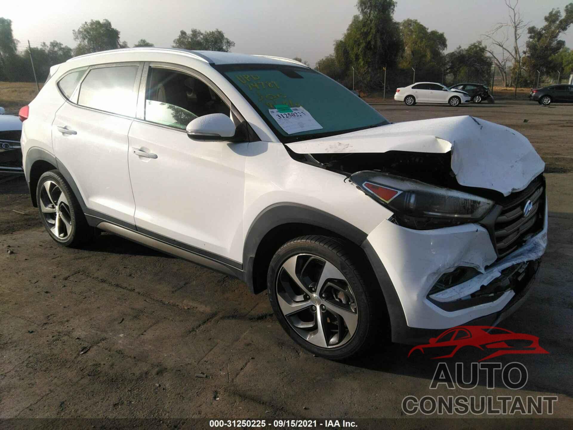 HYUNDAI TUCSON 2016 - KM8J33A28GU263459