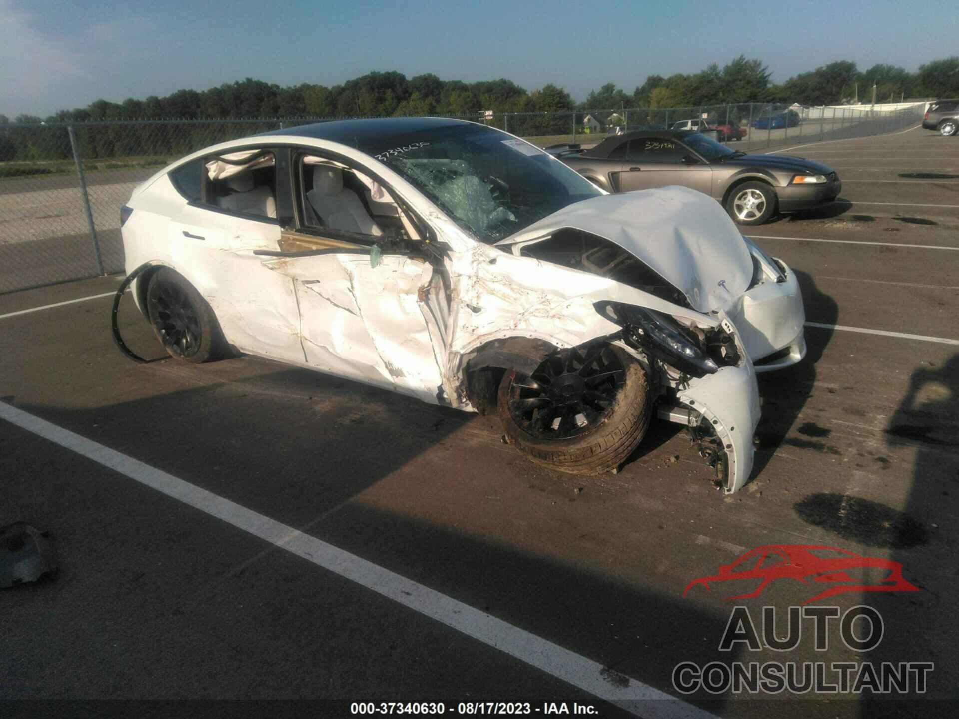 TESLA MODEL Y 2021 - 5YJYGDEE9MF151694