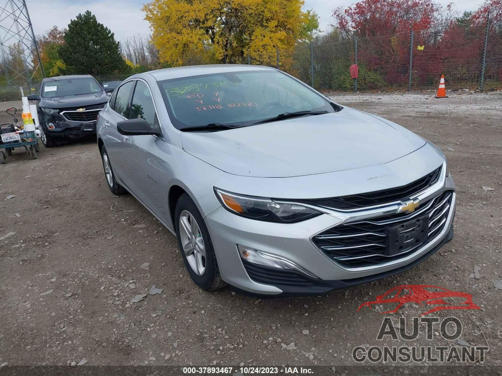 CHEVROLET MALIBU 2020 - 1G1ZB5ST9LF124185