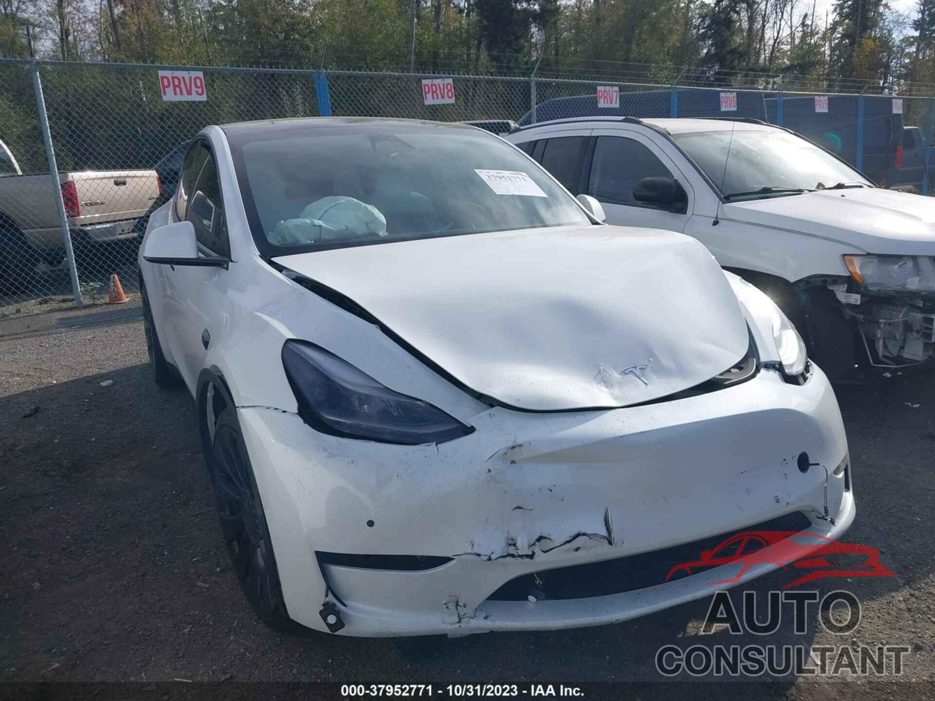 TESLA MODEL Y 2023 - 7SAYGDEF8PF588263