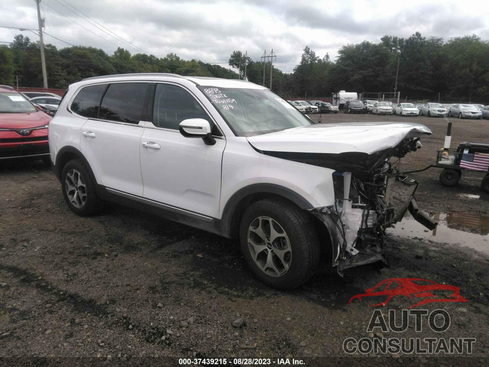 KIA TELLURIDE 2022 - 5XYP34HC2NG217286