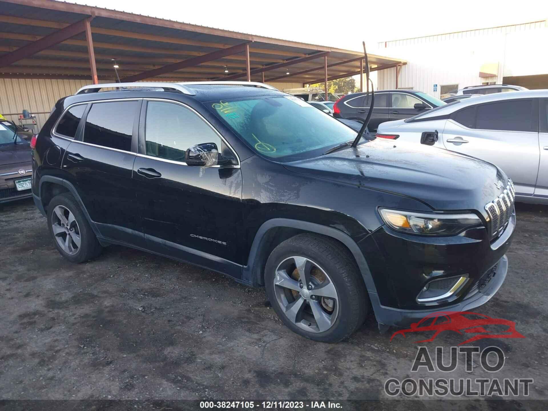 JEEP CHEROKEE 2019 - 1C4PJLDB0KD302263