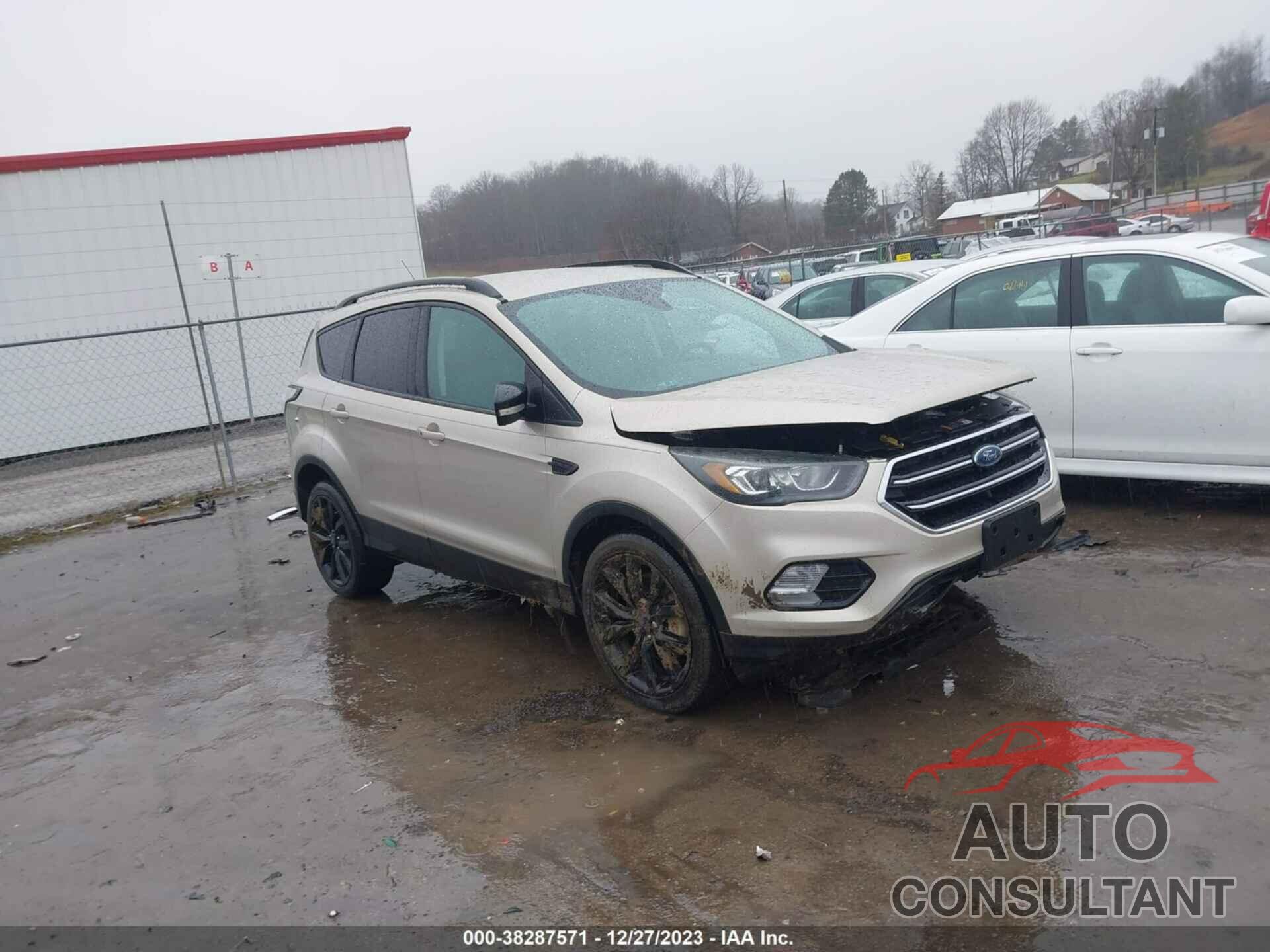 FORD ESCAPE 2017 - 1FMCU9J91HUD60333