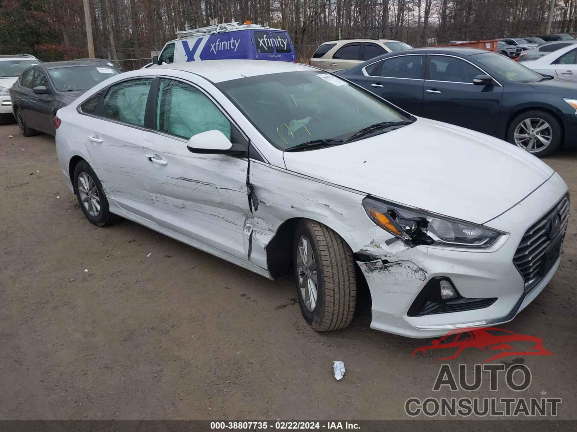 HYUNDAI SONATA 2019 - 5NPE24AF7KH743142