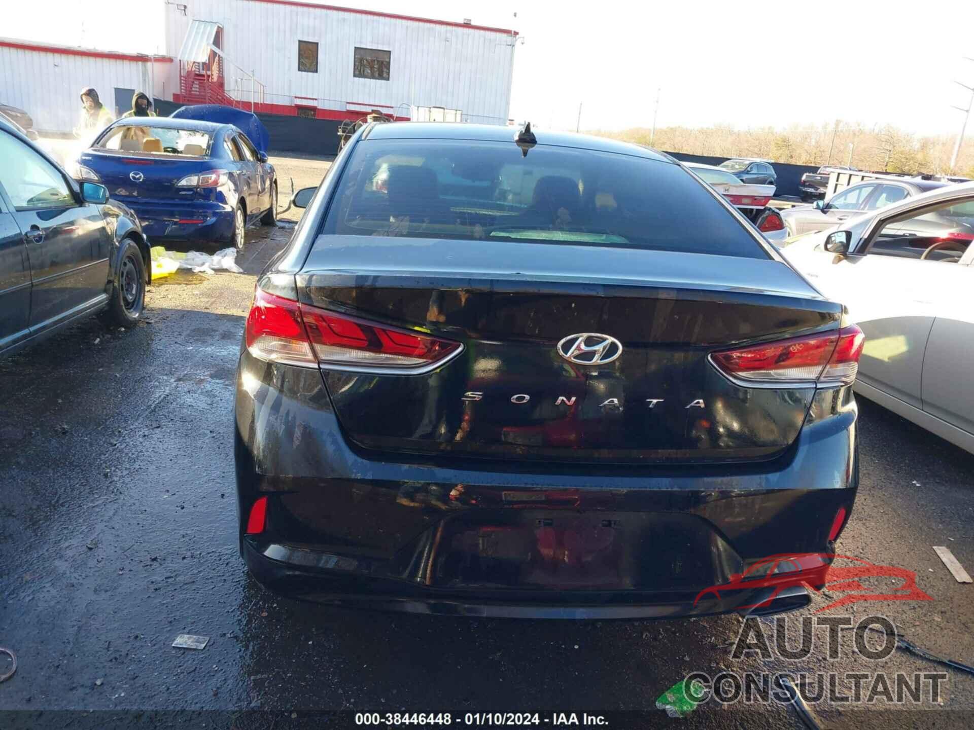 HYUNDAI SONATA 2019 - 5NPE34AF3KH737285