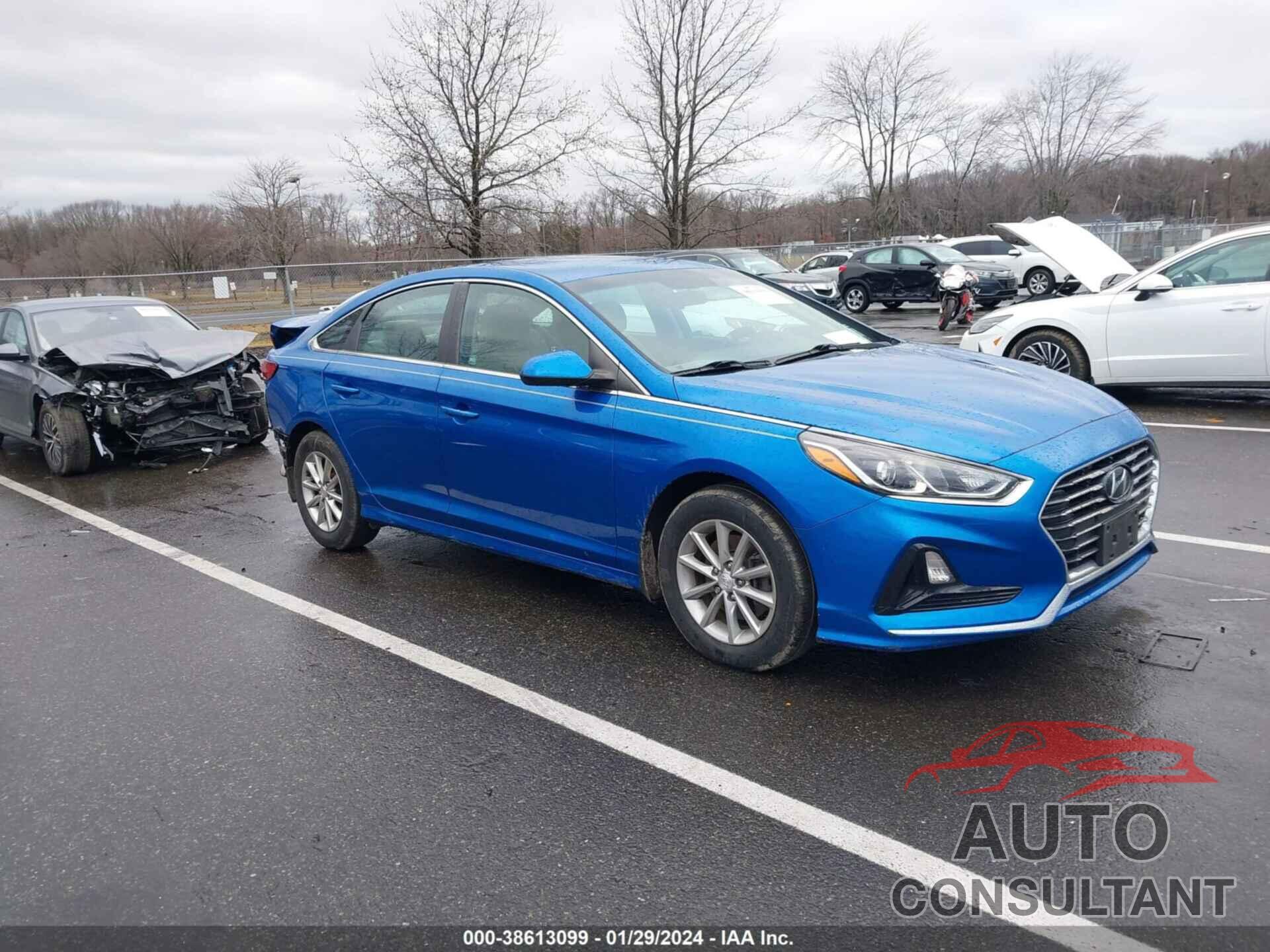 HYUNDAI SONATA 2019 - 5NPE24AF7KH733517