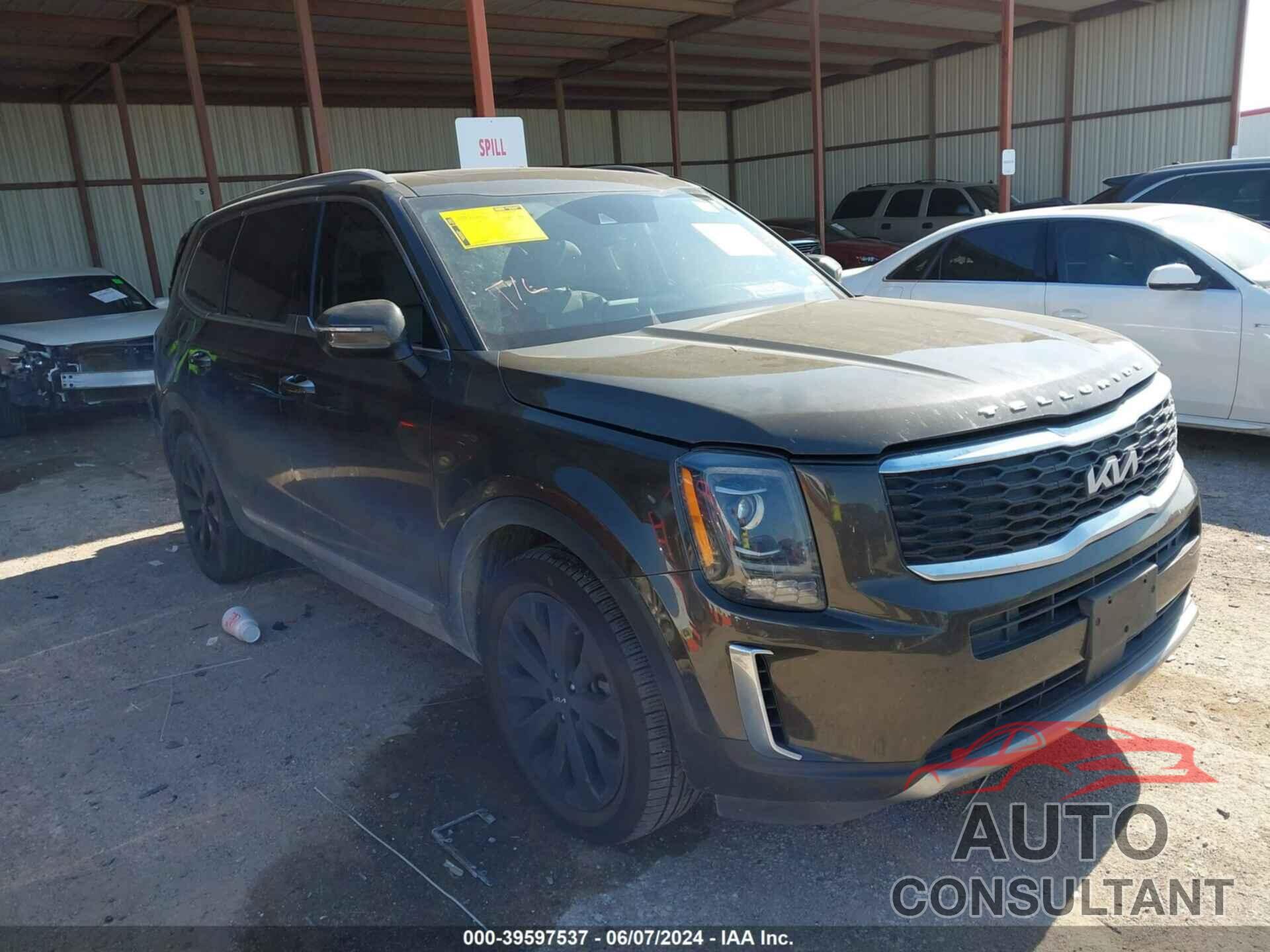 KIA TELLURIDE 2022 - 5XYP6DHC8NG211404