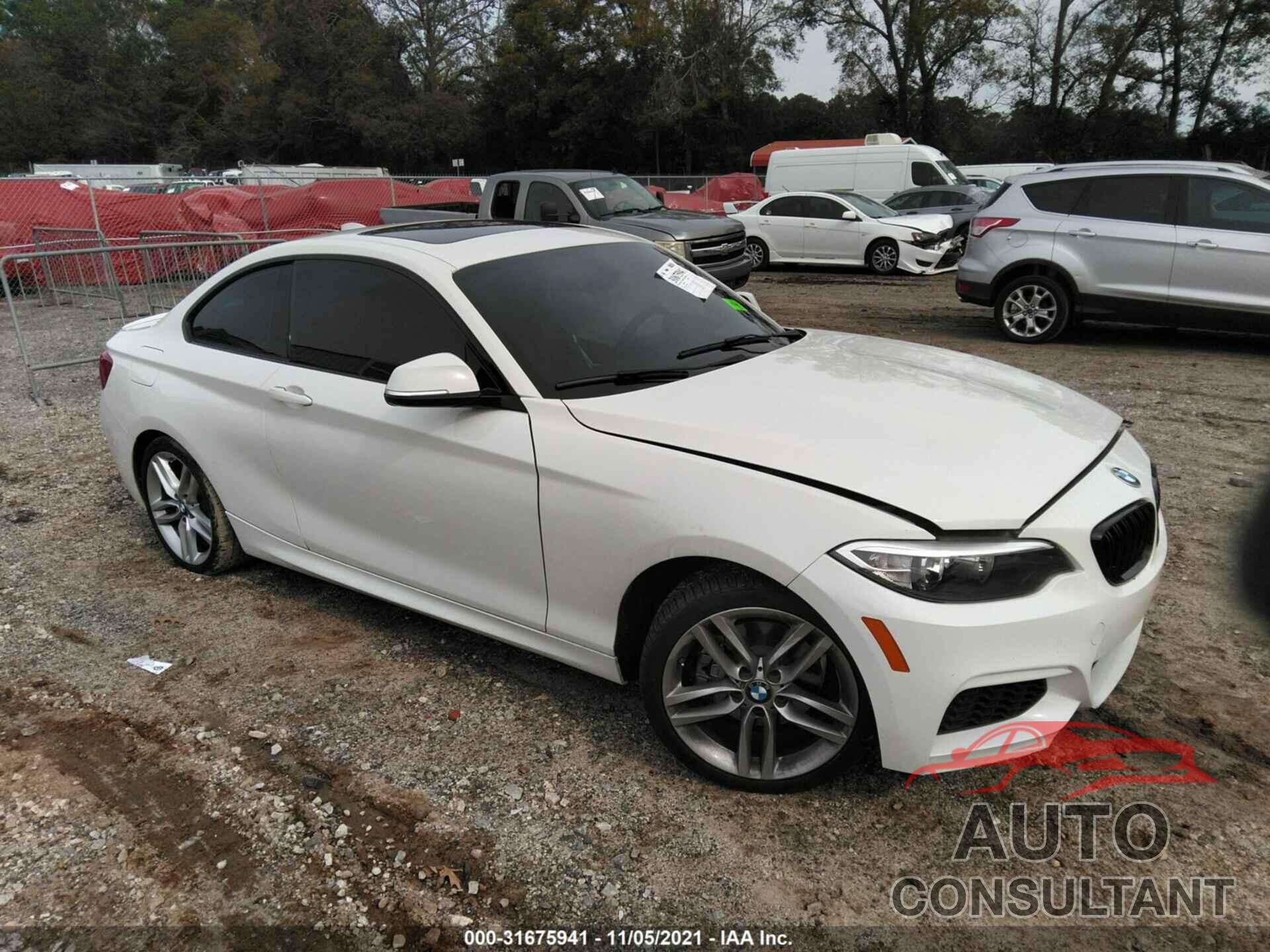 BMW 2 SERIES 2016 - WBA1F9C53GV546543