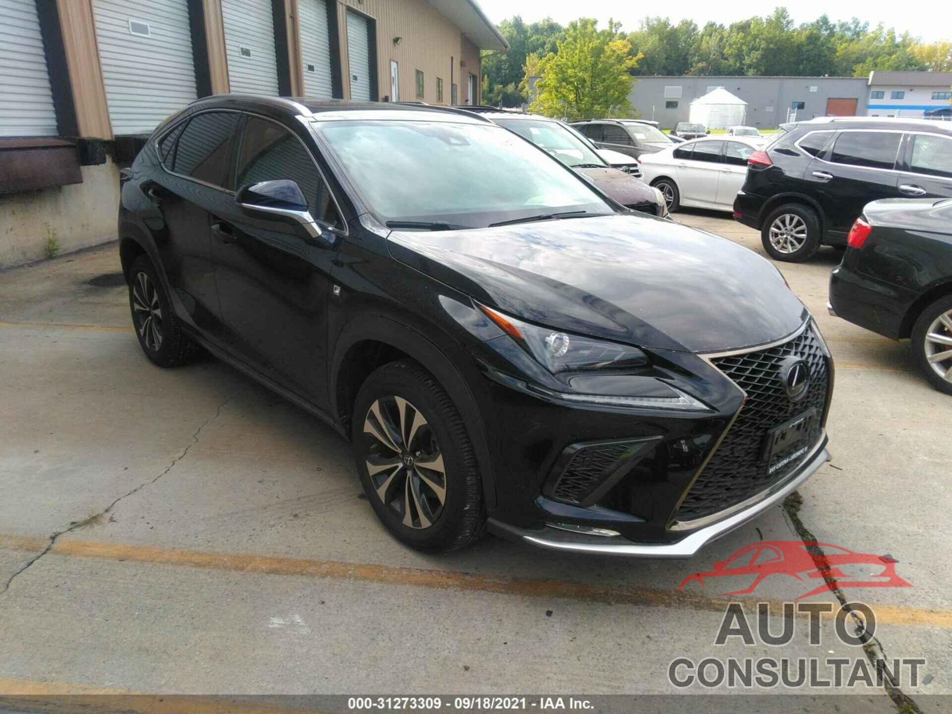 LEXUS NX 2020 - JTJSARDZ6L2230280