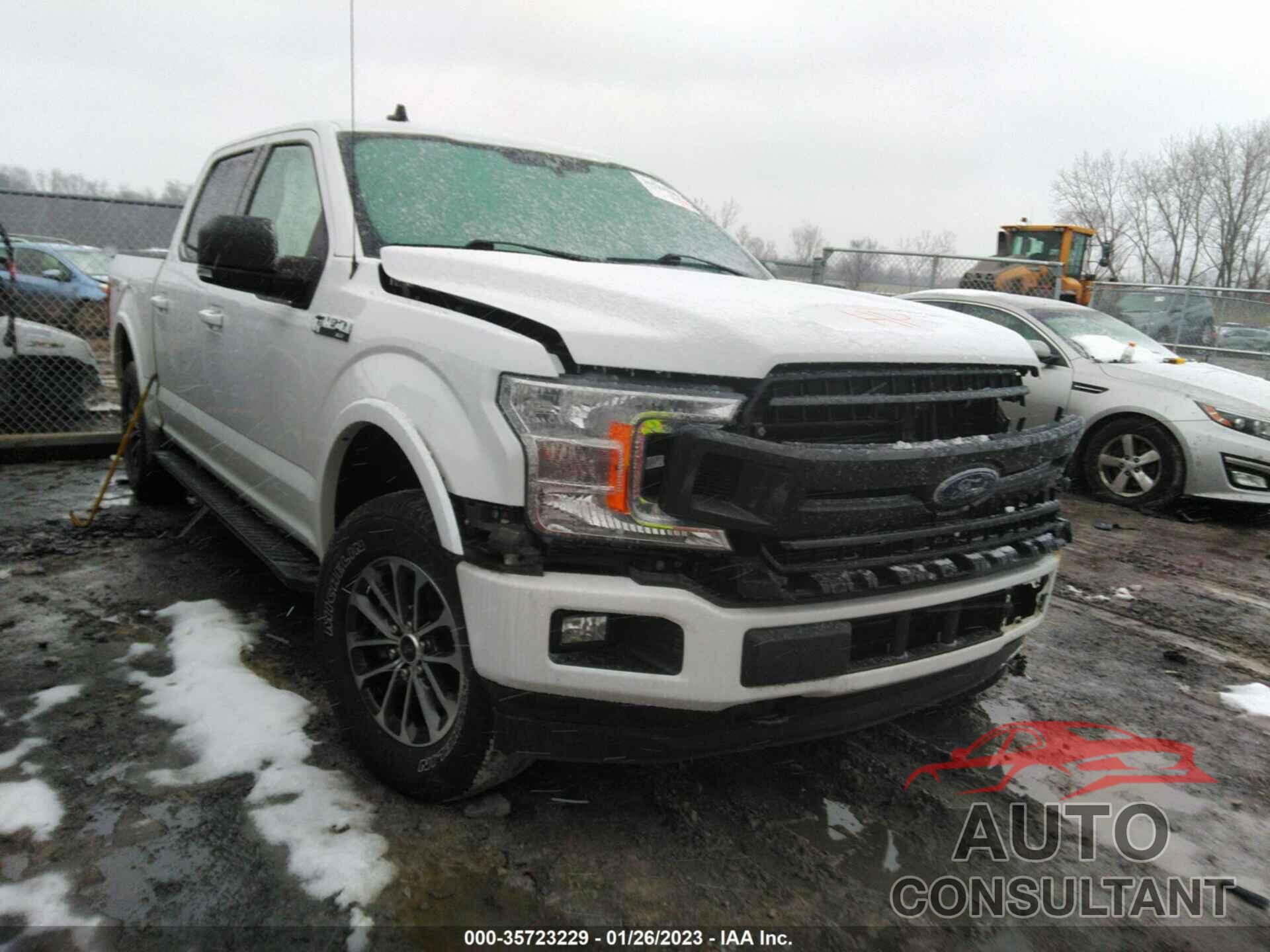 FORD F-150 2019 - 1FTEW1EP0KFD43584