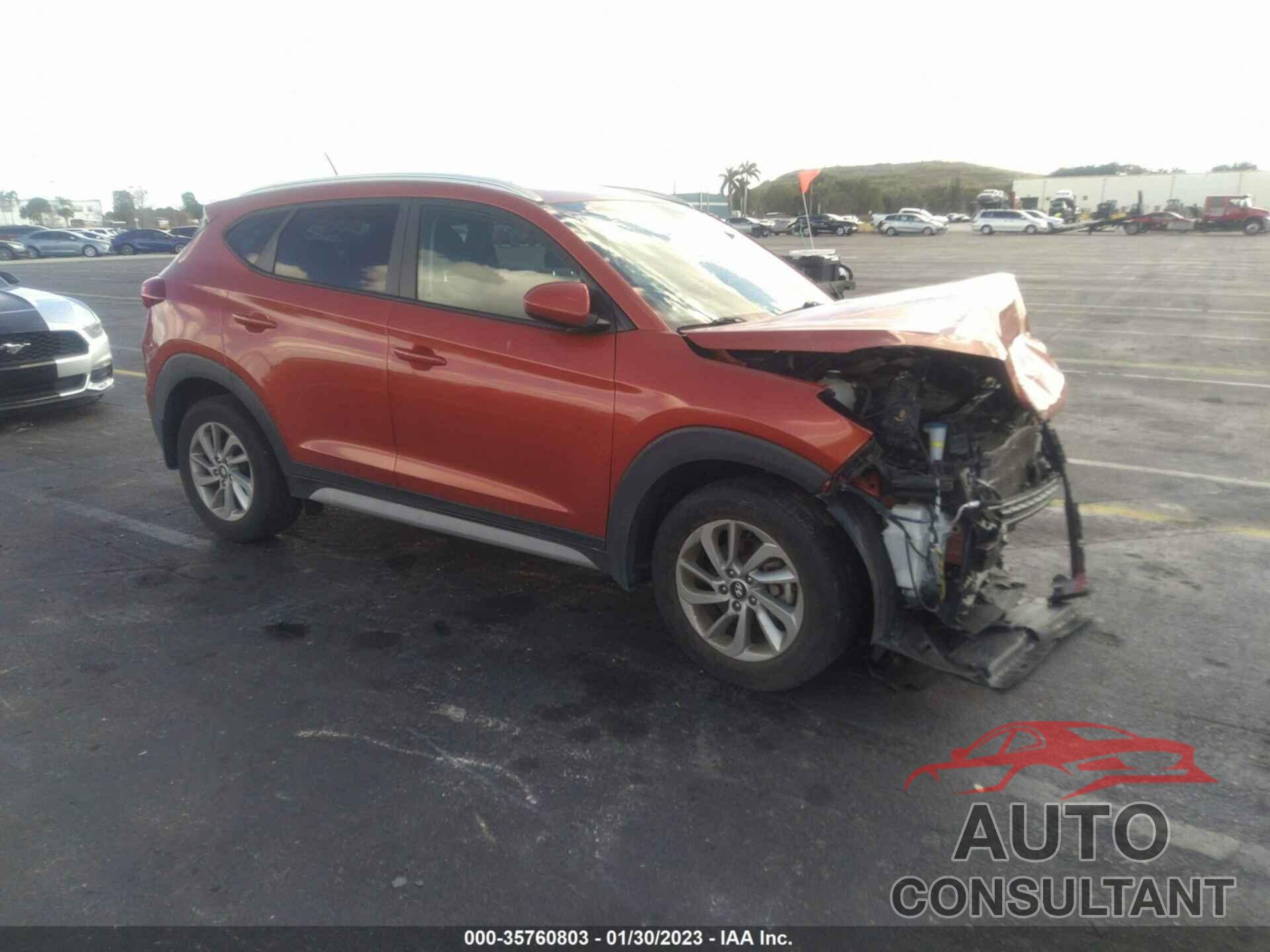 HYUNDAI TUCSON 2017 - KM8J33A42HU519632