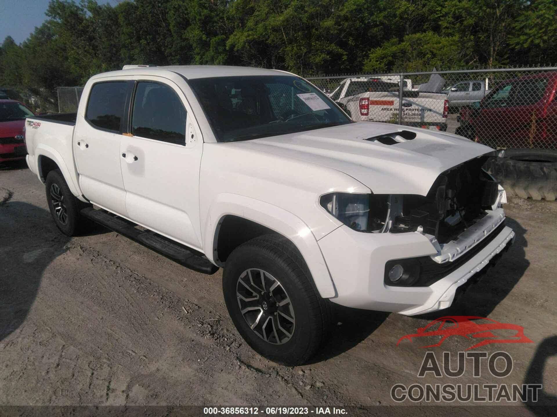 TOYOTA TACOMA 2023 - 3TMCZ5AN9PM533711